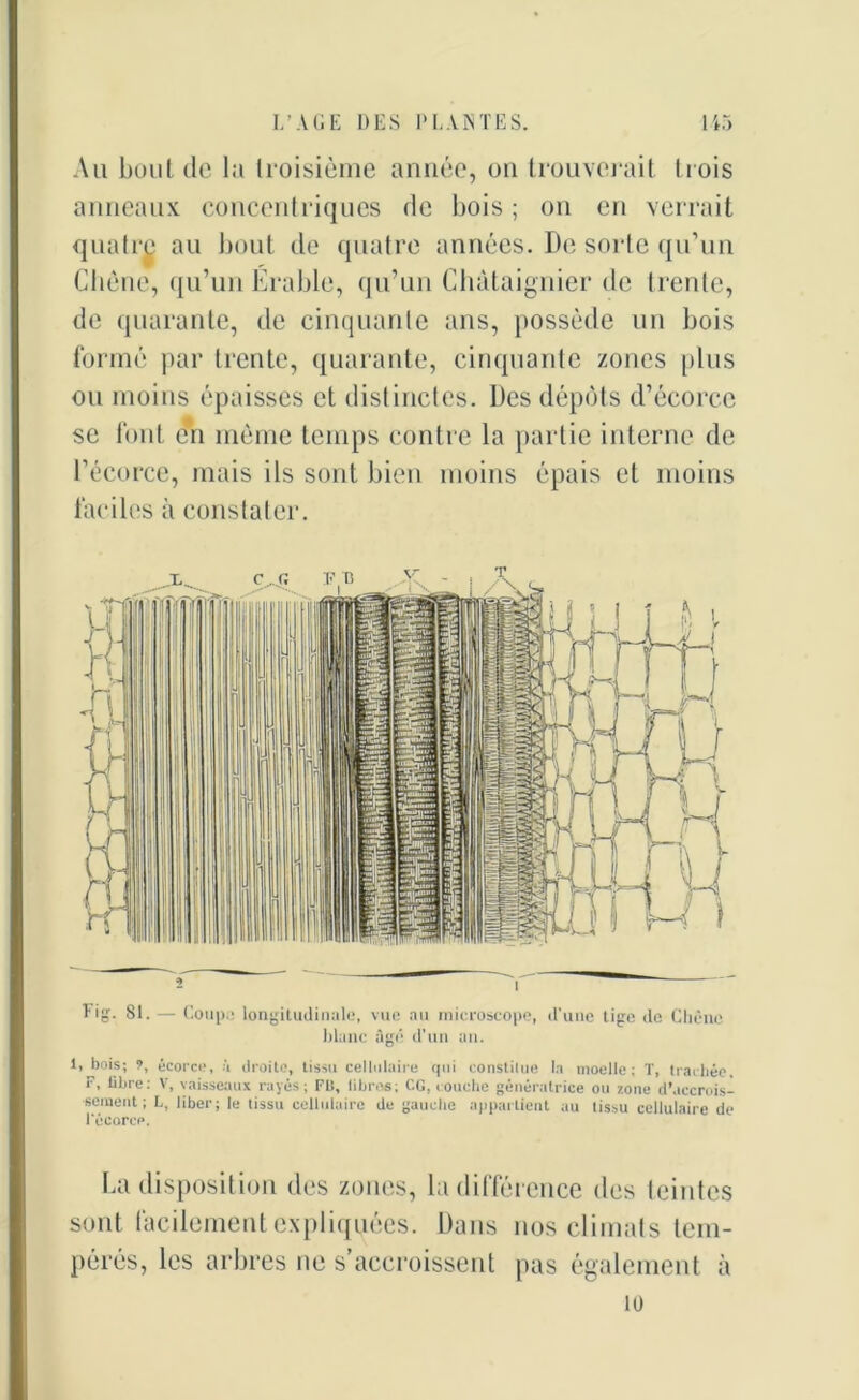 Au boni de la troisième année, on trouverait trois anneaux concentriques de bois; on en verrait quatre au bout de quatre années. De sorte qu’un Chêne, qu’un Erable, qu’un Châtaignier de trente, de quarante, de cinquante ans, possède un bois formé par trente, quarante, cinquante zones plus ou moins épaisses et distinctes. Des dépôts d’écorce se font en même temps contre la partie interne de l’écorce, mais ils sont bien moins épais et moins faciles à constater. Lig. 81. — Coup.; longitudinale, vue au microscope, d’une tige de Chêne blanc âgé d’un an. 1, bois; ?, écorce, à droite, tissu cellulaire qui constitue la moelle; T, trachée. F, libre; V, vaisseaux rayés; Fl!, libres; CG, couche génératrice ou zone d’accrois- sement; L, liber; le tissu cellulaire de gauche appartient au tissu cellulaire de l'écorce. La disposition des zones, la différence des teintes sont facilement expliquées. Dans nos climats tem- pérés, les arbres ne s’accroissent pas également à 10