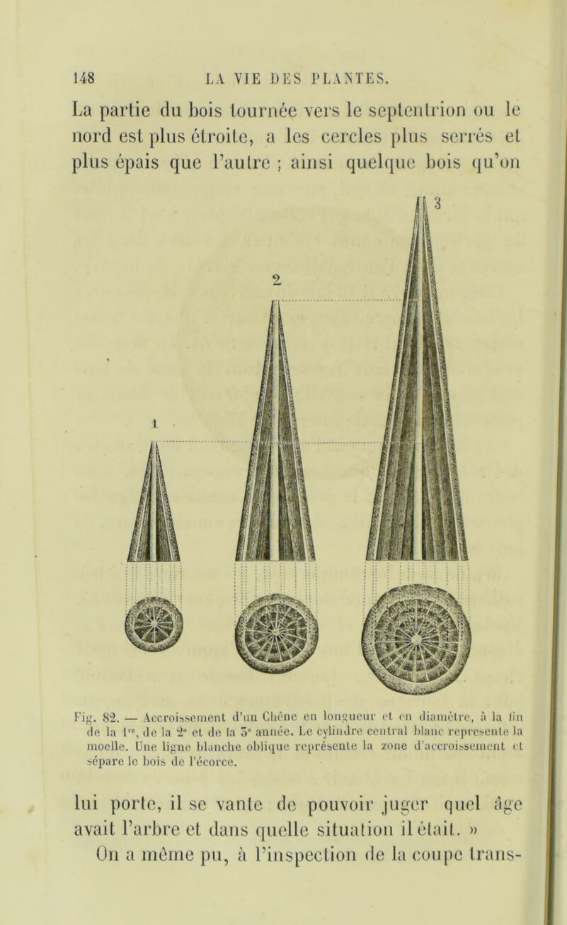 La partie du bois tournée vers le septentrion ou le nord est plus étroite, a les cercles plus serrés et plus épais que l’autre ; ainsi quelque bois qu’on Fig. 82. — Accroissement d’un Chêne en longueur et en diamètre, à la lin de la 1, de la 2” et de la 5“ année. Le cylindre central blanc représente la moelle. Une ligne blanche oblique représente la zone d’accroissement et sépare le bois de l’écorce. lui porte, il se vante de pouvoir juger quel âge avait l’arbre et dans quelle situation il était . » On a même pu, à l’inspection de la coupe trans-