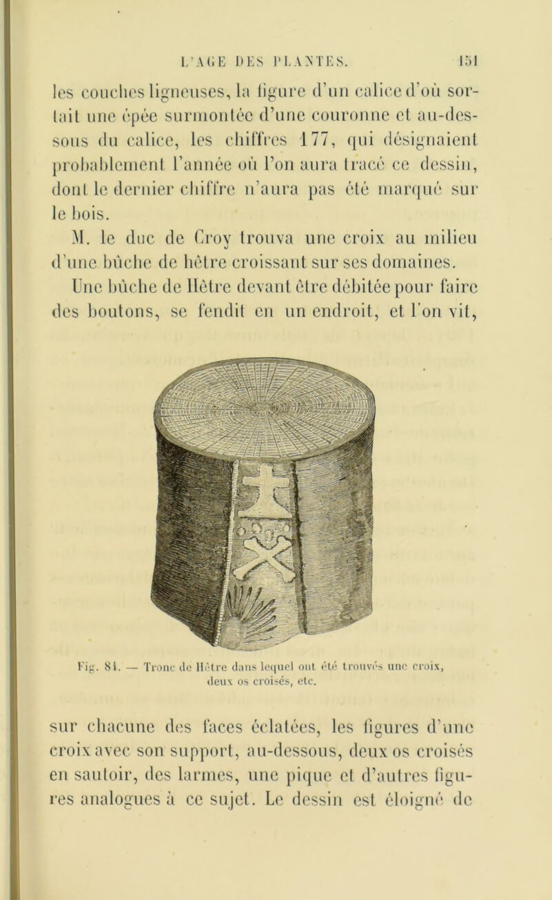 les couches ligneuses, la ligure d’un calice d’où sor- tait une épée surmontée (runc couronne et au-des- sous du calice, les chiffres 177, qui désignaient probablement l’année où l’on aura tracé ce dessin, dont le dernier chiffre n’aura pas été marqué sur le bois. M. le duc de Croy trouva une croix au milieu d’une bûche de hêtre croissant sur ses domaines. Une huche de Hêtre devant être débitée pour faire des boutons, se fendit en un endroit, et l’on vit, Eig. 8i. — Tronc de Hêtre dans lequel ont été trouvés une croix, deux os croisés, etc. sur chacune des faces éclatées, les figures d’une croix avec son support, au-dessous, deux os croisés en sautoir, des larmes, une pique et d’autres ligu- res analogues à ce sujet. Le dessin est éloigné de