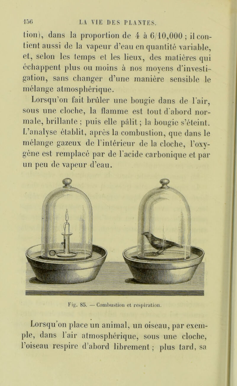 lion), dans la proportion de 4 à 6/10,000; il con- tient aussi de la vapeur d’eau en quantité variable, et, selon les lemps et les lieux, des matières qui échappent plus ou moins à nos moyens d’investi- gation, sans changer d’une manière sensible le mélange atmosphérique. Lorsqu’on fait brûler une bougie dans de l’air, sous une cloche, la flamme est tout d'abord nor- male, brillante ; puis elle pâlit ; la bougie s’éteint. L’analyse établit, après la combustion, que dans le mélange gazeux de l’intérieur de la cloche, l’oxy- gène est remplacé par de l’acide carbonique et par un peu de vapeur d’eau. Fig. 85. — Combustion et respiration. Lorsqu on place un animal, un oiseau, par exem- ple, dans l’air atmosphérique, sous une cloche, l’oiseau respire d’abord librement ; plus tard, sa