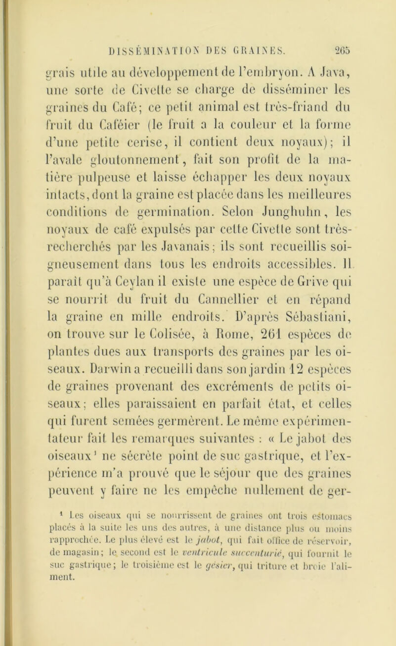 grais utile au développement de l’embryon. A Java, une sorte de Civette se charge de disséminer les graines du Café; ce petit animal est très-friand du fruit du Caféier (le fruit a la couleur et la forme d’une petite cerise, il contient deux noyaux); il l’avale gloutonnement, fait son profit de la ma- tière pulpeuse et laisse échapper les deux noyaux intacts, dont la graine est placée dans les meilleures conditions de germination. Selon Junghuhn, les noyaux de café expulsés par celte Civette sont très- recherchés par les Javanais; ils sont recueillis soi- gneusement dans tous les endroits accessibles. Il parait qu’à Ceylan il existe une espèce de Grive qui se nourrit du fruit du Cannellier et en répand la graine en mille endroits. D’après Sébastiani, on trouve sur le Colisée, à Rome, 261 espèces de plantes dues aux transports des graines par les oi- seaux. Darwin a recueilli dans son jardin 12 espèces de graines provenant des excréments de petits oi- seaux; elles paraissaient en parfait état, et celles qui furent semées germèrent. Le même expérimen- tateur fait les remarques suivantes : « Le jabot des oiseaux1 ne sécrète point de suc gastrique, et l’ex- périence m’a prouvé que le séjour que des graines peuvent y faire ne les empêche nullement de ger- 1 Les oiseaux qui se nourrissent de graines ont trois eétomacs placés à la suite les uns des autres, à une distance plus ou moins rapprochée. Le plus élevé est le jabot, qui fail ollice de réservoir, de magasin; le. second est le ventricule succenturic, qui fournit le suc gastrique ; le troisième est le gesier, qui triture et broie l'ali- ment.
