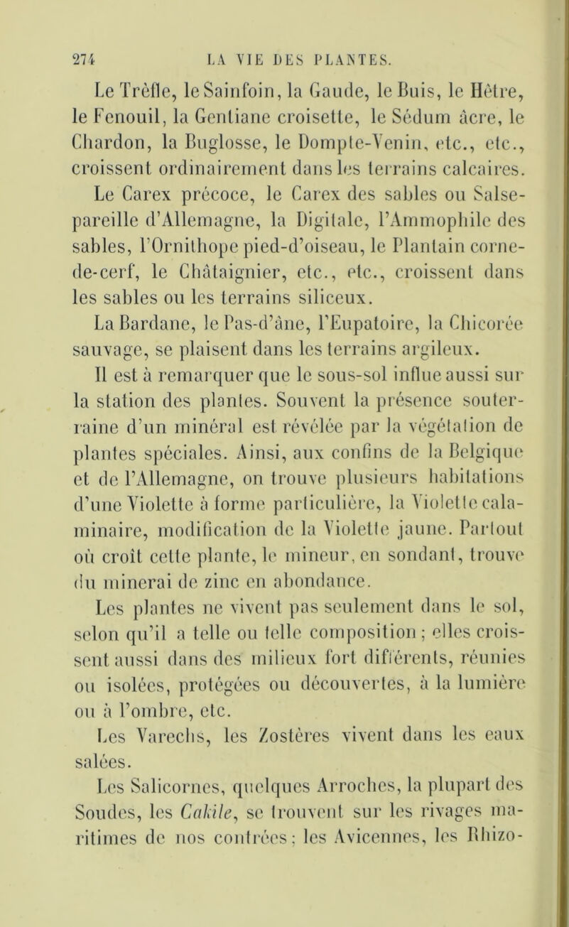 Le Trèfle, le Sainfoin, la Garnie, le Buis, le Hêtre, le Fenouil, la Gentiane croisette, le Sédum acre, le Chardon, la Buglosse, le Dompte-Venin, etc., etc., croissent ordinairement dans les terrains calcaires. Le Carex précoce, le Carex des sables ou Salse- pareille d’Allemagne, la Digitale, l’Ammophilc des sables, l’Ornithope pied-d’oiseau, le Plantain corne- de-cerf, le Châtaignier, etc., etc., croissent dans les sables ou les terrains siliceux. LaBardane, le Pas-d’àne, l’Eupatoire, la Chicorée sauvage, se plaisent dans les terrains argileux. Il est à remarquer que le sous-sol influe aussi sur la station des plantes. Souvent la présence souter- raine d’un minéral est révélée par la végétation de plantes spéciales. Ainsi, aux confins de la Belgique et de l’Allemagne, on trouve plusieurs habitations d’une Violette à forme particulière, la Violette cala- minaire, modification de la Violette jaune. Partout où croit celte plante, le mineur, en sondant, trouve du minerai de zinc en abondance. Les plantes ne vivent pas seulement dans le sol, selon qu’il a telle ou telle composition ; elles crois- sent aussi dans des milieux fort différents, réunies ou isolées, protégées ou découvertes, à la lumière ou à l’ombre, etc. Les Varechs, les Zostèrcs vivent dans les eaux salées. Les Salicornes, quelques Arroches, la plupart des Soudes, les Cakile, se trouvent sur les rivages ma- ritimes de nos contrées; les Avicennes, les Bhizo-