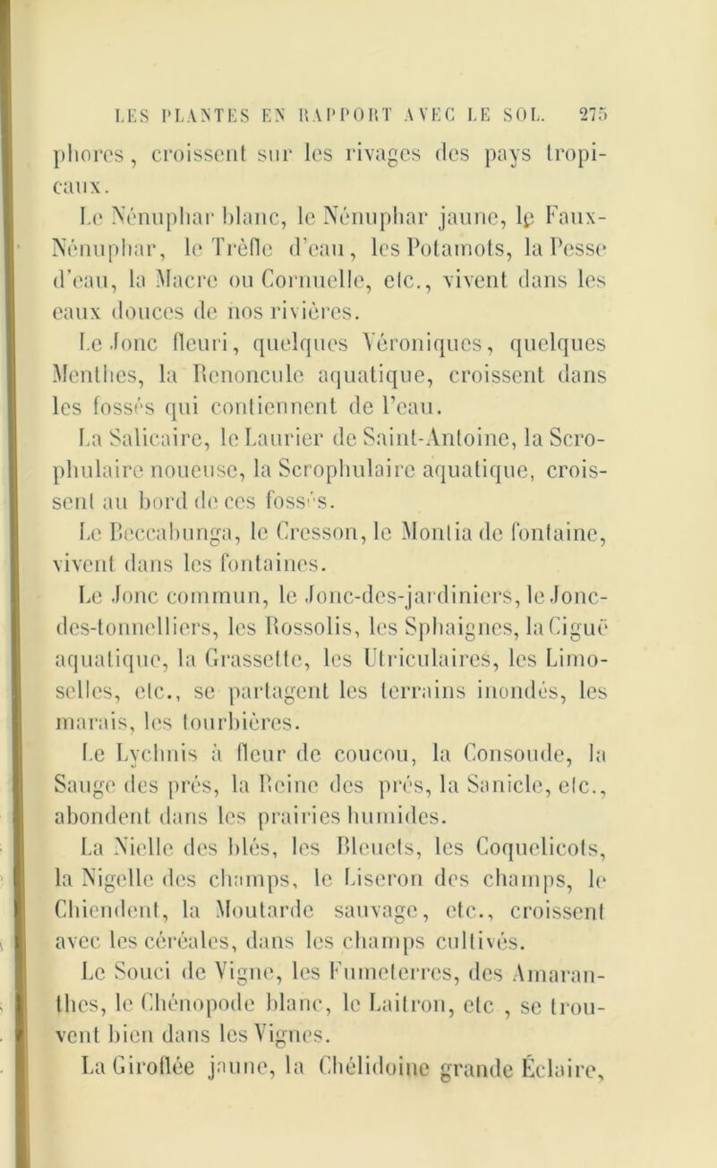 plioros, croissent sur les rivages des pays tropi- caux. Le Nénuphar blanc, le Nénuphar jaune, lp Faux- Nénuphar, le Trèfle d’eau, les Potamots, la Fesse d’eau, la Macre ou Cornuelle, elc., vivent dans les eaux douces de nos rivières. Le Jonc fleuri, quelques Véroniques, quelques Menthes, la Renoncule aquatique, croissent dans les fossés qui contiennent de l’eau. La Salicaire, le Laurier de Saint-Antoine, la Scro- phulaire noueuse, la Scrophulairc aquatique, crois- sent au bord de ces fossés. Le Bcccabunga, le Cresson, le Montia de fontaine, vivent dans les fontaines. Le Jonc commun, le Jonc-des-jardiniers, le Jonc- des-tonnellicrs, les Rossolis, les Sphaignes, la Ciguë aquatique, la Grassette, les Utriculaires, les Limo- selles, etc., se partagent les terrains inondés, les marais, les tourbières. Le Lychnis à fleur de coucou, la Consolide, la Sauge des prés, la Reine des prés, la Saniclc, etc., abondent dans les prairies humides. La Nielle des blés, les Bleuets, les Coquelicots, la Nigelle des champs, le Liseron des champs, le Chiendent, la Moutarde sauvage, etc., croissent avec les céréales, dans les champs cultivés. Le Souci de Vigne, les Fumet erres, des Amaran- tlies, le Chénopode blanc, le Laitron, etc , se trou- vent bien dans les Vignes. La Giroflée jaune, la Chélidoine grande Éclaire,