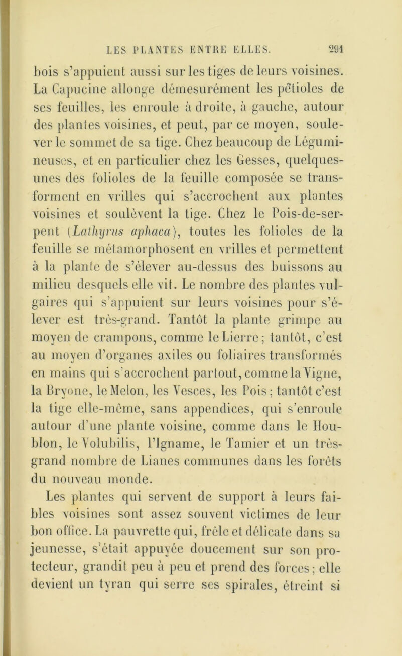 bois s’appuient aussi sur les tiges de leurs voisines. La Capucine allonge démesurément les pétioles de ses feuilles, les enroule à droite, à gauche, autour des plantes voisines, et peut, par ce moyen, soule- ver le sommet de sa tige. Chez beaucoup de Légumi- neuses, et eu particulier chez les Cesses, quelques- unes des folioles de la feuille composée se trans- forment en vrilles qui s’accrochent aux plantes voisines et soulèvent la tige. Cliez le Pois-de-ser- pent (La thyms aphaca), toutes les folioles de la feuille se métamorphosent en vrilles et permettent à la plante de s’élever au-dessus des buissons au milieu desquels elle vit. Le nombre des plantes vul- gaires qui s’appuient sur leurs voisines pour s’é- lever est très-grand. Tantôt la plante grimpe au moyen de crampons, comme le Lierre; tantôt, c’est au moyen d’organes axiles ou foliaires transformés en mains qui s’accrochent partout, comme la Vigne, la Brvone, le Melon, les Vesees, les Pois; tantôt c’est la tige elle-même, sans appendices, qui s’enroule autour d’une plante voisine, comme dans le Hou- blon, le Volubilis, l’Igname, le Tamier cl un très- grand nombre de Lianes communes dans les forêts du nouveau monde. Les plantes qui servent de support à leurs fai- bles voisines sont assez souvent victimes de leur bon office. La pauvrette qui, frêle et délicate dans sa jeunesse, s’était appuyée doucement sur son pro- tecteur, grandit peu à peu et prend des forces; elle devient un tyran qui serre ses spirales, étreint si