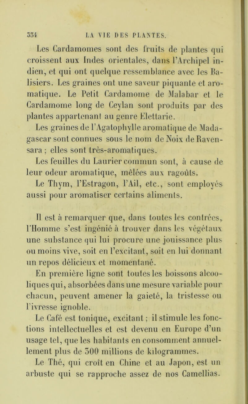 Les Cardamomes sont des fruits de plantes qui croissent aux Indes orientales, dans l’Archipel in- dien, et qui ont quelque ressemblance avec Jes Ba- lisiers. Les graines ont une saveur piquante et aro- matique. Le Petit Cardamome de Malabar et le Cardamome long de Ceylan sont produits par des plantes appartenant au genre Elettarie. Les graines de PAgalophylle aromatique de Mada- gascar sont connues sous le nom de Noix de Raven- sara ; elles sont très-aromatiques. Les feuilles du Laurier commun sont, à cause de leur odeur aromatique, mêlées aux ragoûts. Le Thym, l’Estragon, l’Ail, etc., sont employés aussi pour aromatiser certains aliments. 11 est à remarquer que, dans toutes les contrées, l’Homme s’est ingénié à trouver dans les végétaux une substance qui lui procure une jouissance plus ou moins vive, soit en l’excitant, soit en lui donnant un repos délicieux et momentané. En première ligne sont toutes les boissons alcoo- liques qui, absorbées dans une mesure variable pour chacun, peuvent amener la gaieté, la tristesse ou l’ivresse ignoble. Le Café est tonique, excitant ; il stimule les fonc- tions intellectuelles et est devenu en Europe d’un usage tel, que les habitants en consomment annuel- lement plus de 300 millions de kilogrammes. Le Thé, qui croit en Chine et au Japon, est un arbuste qui se rapproche assez de nos Camellias.