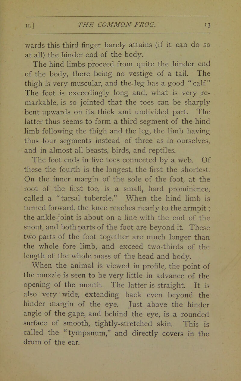 wards this third finger barely attains (if it can do so at all) the hinder end of the body. The hind limbs proceed from quite the hinder end of the body, there being no vestige of a tail. The thigh is very muscular, and the-leg has a good “calf” The foot is exceedingly long and, what is very re- markable, is so jointed that the toes can be sharply bent upwards on its thick and undivided part. The latter thus seems to form a third segment of the hind limb following the thigh and the leg, the limb having thus four segments instead of three as in ourselves, and in almost all beasts, birds, and reptiles. The foot ends in five toes connected by a web. Of these the fourth is the longest, the first the shortest. On the inner margin of the sole of the foot, at the root of the first toe, is a small, hard prominence, called a “tarsal tubercle.” When the hind limb is turned forward, the knee reaches nearly to the armpit; the ankle-joint is about on a line with the end of the snout, and both parts of the foot are beyond it. These two parts of the foot together are much longer than the whole fore limb, and exceed two-thirds of the length of the whole mass of the head and body. When the animal is viewed in profile, the point of the muzzle is seen to be very little in advance of the opening of the mouth. The latter is straight. It is also very wide, extending back even beyond the hinder margin of the eye. Just above the hinder angle of the gape, and behind the eye, is a rounded surface of smooth, tightly-stretched skin. This is called the “tympanum,” and directly covers in the drum of the ear.