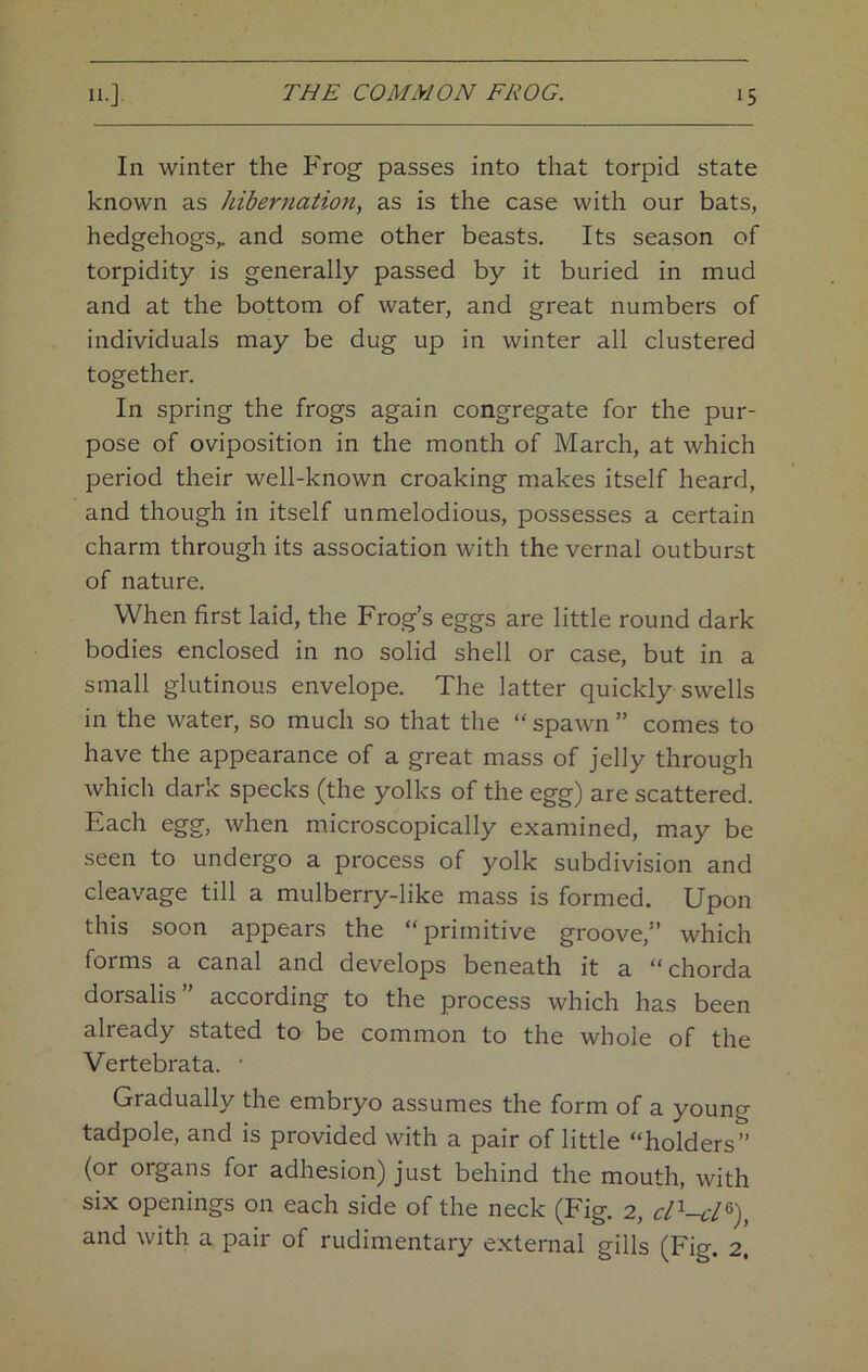 In winter the Frog passes into that torpid state known as hibernation, as is the case with our bats, hedgehogs,, and some other beasts. Its season of torpidity is generally passed by it buried in mud and at the bottom of water, and great numbers of individuals may be dug up in winter all clustered together. In spring the frogs again congregate for the pur- pose of oviposition in the month of March, at which period their well-known croaking makes itself heard, and though in itself unmelodious, possesses a certain charm through its association with the vernal outburst of nature. When first laid, the Frog’s eggs are little round dark bodies enclosed in no solid shell or case, but in a small glutinous envelope. The latter quickly swells in the water, so much so that the “ spawn ” comes to have the appearance of a great mass of jelly through which dark specks (the yolks of the egg) are scattered. Each egg, when microscopically examined, may be seen to undergo a process of yolk subdivision and cleavage till a mulberry-like mass is formed. Upon this soon appears the “primitive groove,” which forms a canal and develops beneath it a “chorda dorsalis” according to the process which has been already stated to be common to the whole of the Vertebrata. ' Gradually the embryo assumes the form of a young tadpole, and is provided with a pair of little “holders” (or organs for adhesion) just behind the mouth, with six openings on each side of the neck (Fig. 2, cN-d^), and with a pair of rudimentary external gills (Fig. 2,