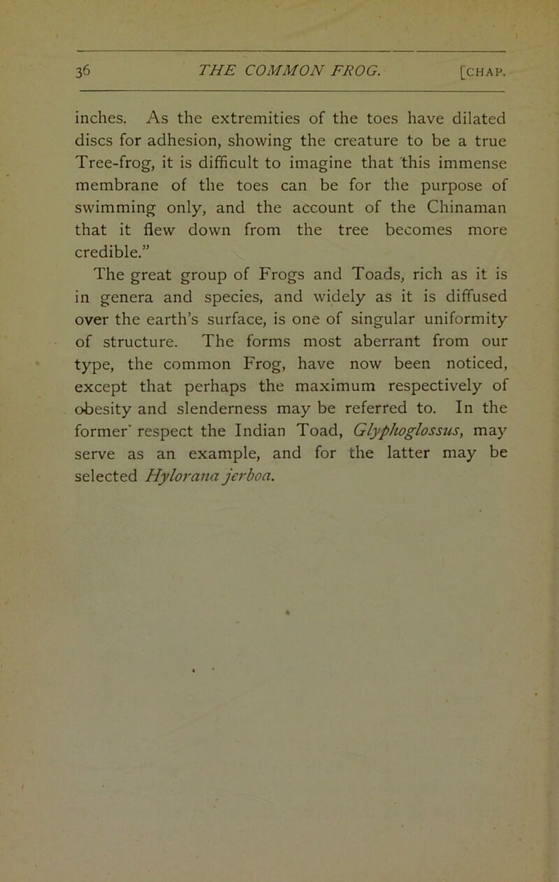 inches. As the extremities of the toes have dilated discs for adhesion, showing the creature to be a true Tree-frog, it is difficult to imagine that this immense membrane of the toes can be for the purpose of swimming only, and the account of the Chinaman that it flew down from the tree becomes more credible.” The great group of Frogs and Toads, rich as it is in genera and species, and widely as it is diffused over the earth’s surface, is one of singular uniformity of structure. The forms most aberrant from our type, the common Frog, have now been noticed, except that perhaps the maximum respectively of obesity and slenderness may be referred to. In the former' respect the Indian Toad, Glyphoglossus, may serve as an example, and for the latter may be selected Hylorana jerboa.