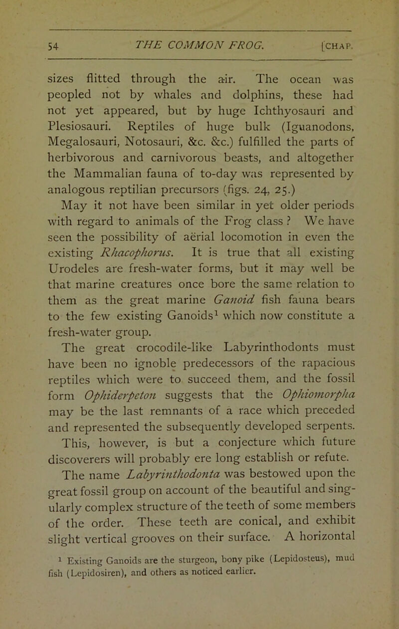 sizes flitted through the air. The ocean was peopled not by whales and dolphins, these had not yet appeared, but by huge Ichthyosauri and Plesiosauri. Reptiles of huge bulk (Iguanodons. Megalosauri, Notosauri, &c. &c.) fulfilled the parts of herbivorous and carnivorous beasts, and altogether the Mammalian fauna of to-day was represented by analogous reptilian precursors (figs. 24, 25.) May it not have been similar in yet older periods with regard to animals of the Frog class ? We have seen the possibility of aerial locomotion in even the existing Rhacophot'us. It is true that all existing Urodeles are fresh-water forms, but it may well be that marine creatures once bore the same relation to them as the great marine Ganoid fish fauna bears to the few existing Ganoids^ which now constitute a fresh-water group. The great crocodile-like Labyrinthodonts must have been no ignoble predecessors of the rapacious reptiles which were to succeed them, and the fossil form Ophiderpcton suggests that the Ophiomorpiia may be the last remnants of a race which preceded and represented the subsequently developed serpents. This, however, is but a conjecture which future discoverers will probably ere long establish or refute. The name Labyrinthodonta was bestowed upon the great fossil group on account of the beautiful and sing- ularly complex structure of the teeth of some members of the order. These teeth are conical, and exhibit slight vertical grooves on their surface. A horizontal 1 Existing Ganoids are the sturgeon, bony pike (Lepidosteus), mud fish (Lepidosiren), and others as noticed earlier.