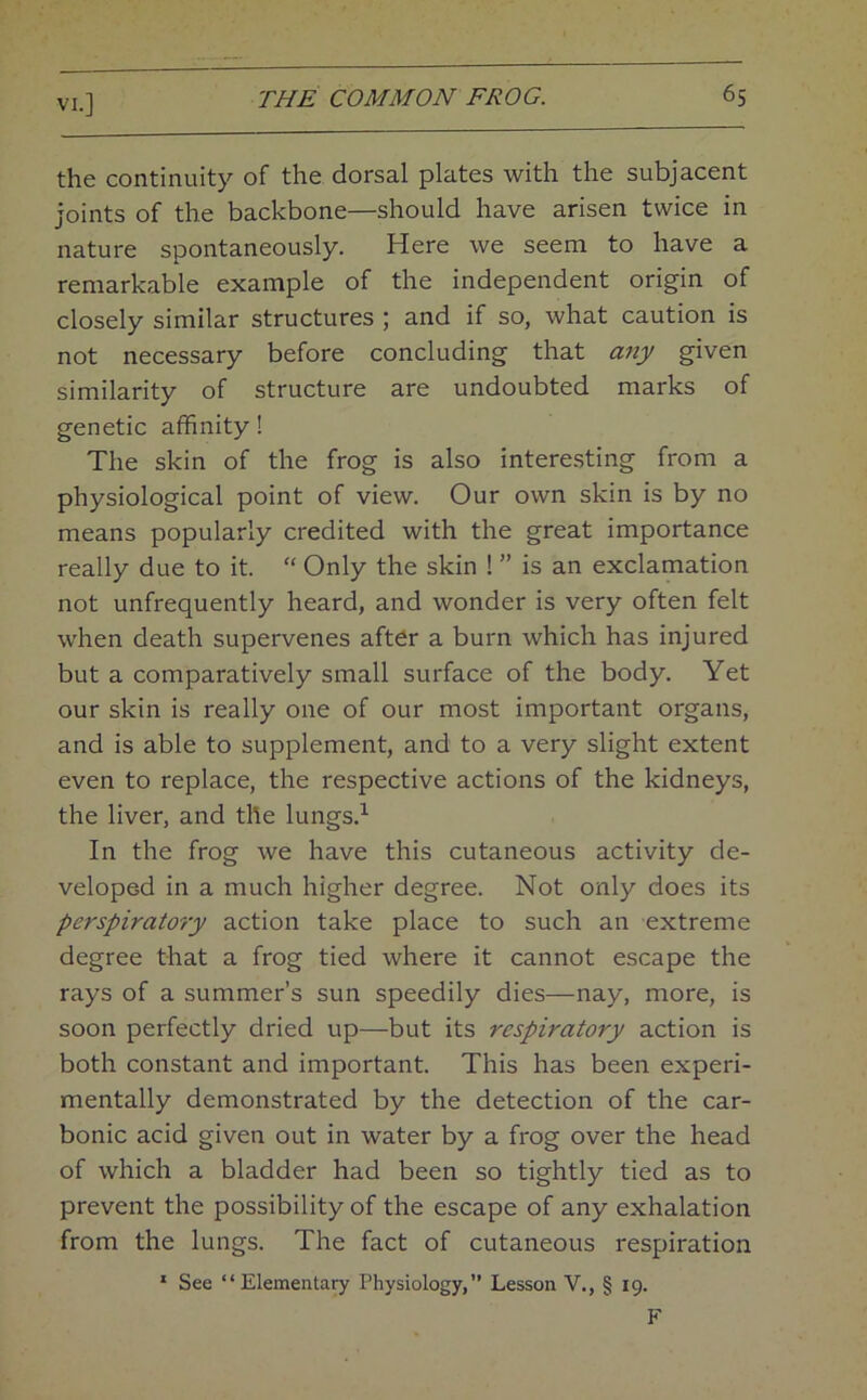 the continuity of the dorsal plates with the subjacent joints of the backbone—should have arisen twice in nature spontaneously. Here we seem to have a remarkable example of the independent origin of closely similar structures ; and if so, what caution is not necessary before concluding that any given similarity of structure are undoubted marks of genetic affinity! The skin of the frog is also interesting from a physiological point of view. Our own skin is by no means popularly credited with the great importance really due to it. “ Only the skin ! ” is an exclamation not unfrequently heard, and wonder is very often felt when death supervenes after a burn which has injured but a comparatively small surface of the body. Yet our skin is really one of our most important organs, and is able to supplement, and to a very slight extent even to replace, the respective actions of the kidneys, the liver, and the lungs.^ In the frog we have this cutaneous activity de- veloped in a much higher degree. Not only does its perspiratory action take place to such an extreme degree that a frog tied where it cannot escape the rays of a summer’s sun speedily dies—nay, more, is soon perfectly dried up—but its respiratory action is both constant and important. This has been experi- mentally demonstrated by the detection of the car- bonic acid given out in water by a frog over the head of which a bladder had been so tightly tied as to prevent the possibility of the escape of any exhalation from the lungs. The fact of cutaneous respiration * See “Elementary Physiology,” Lesson V., § 19. F