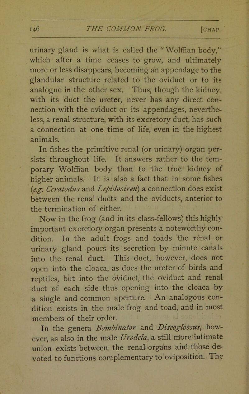 urinary gland is what is called the “ Wolffian body,” which after a time ceases to grow, and ultimately more or less disappears, becoming an appendage to the glandular structure related to the oviduct or to its analogue in the other sex. Thus, though the kidney, with its duct the ureter, never has any direct con- nection with the oviduct or its appendages, neverthe- less, a renal structure, with its excretory duct, has such a connection at one time of life, even in the highest animals. In fishes the primitive renal (or urinary) organ per- sists throughout life. It answers rather to the tem- porary Wolffian body than to the true kidney of higher animals. It is also a fact that in some fishes {e.g. Ceratodus and Lepidosiren) a connection does exist between the renal ducts and the oviducts, anterior to the termination of either. Now in the frog (and in its class-fellows) this highly important excretory organ presents a noteworthy con- dition. In the adult frogs and toads the renal or urinary gland pours its secretion by minute canals into the renal duct. This duct, however, does not open into the cloaca, as does the ureter of birds and reptiles, but into the oviduct, the oviduct and renal duct of each side thus opening into the cloaca by a single and common aperture. An analogous con- dition exists in the male frog and toad, and in most members of their order. In the genera Bombinator and Diseoglossus, how- ever, as also in the male Urodela, a still more’intimate union exists between the renal orga'ns and those de- voted to functions complementary to oviposition. The
