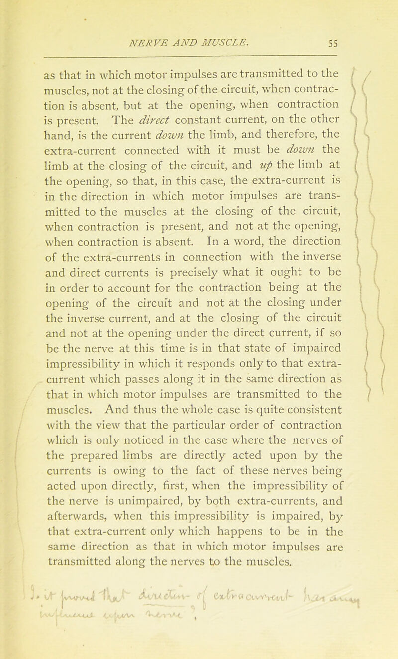 as that in which motor impulses are transmitted to the muscles, not at the closing of the circuit, when contrac- tion is absent, but at the opening, when contraction is present. The direct constant current, on the other hand, is the current down the limb, and therefore, the extra-current connected with it must be down the limb at the closing of the circuit, and up the limb at the opening, so that, in this case, the extra-current is in the direction in which motor impulses are trans- mitted to the muscles at the closing of the circuit, when contraction is present, and not at the opening, when contraction is absent. In a word, the direction of the extra-currents in connection with the inverse and direct currents is precisely what it ought to be in order to account for the contraction being at the opening of the circuit and not at the closing under the inverse current, and at the closing of the circuit and not at the opening under the direct current, if so be the nerve at this time is in that state of impaired impressibility in which it responds only to that extra- current which passes along it in the same direction as that in which motor impulses are transmitted to the muscles. And thus the whole case is quite consistent with the view that the particular order of contraction which is only noticed in the case where the nerves of the prepared limbs are directly acted upon by the currents is owing to the fact of these nerves being acted upon directly, first, when the impressibility of the nerve is unimpaired, by both extra-currents, and afterwards, when this impressibility is impaired, by that extra-current only which happens to be in the same direction as that in which motor impulses are transmitted along the nerves tx) the muscles. P'l y a cxwvttt l~ civ.