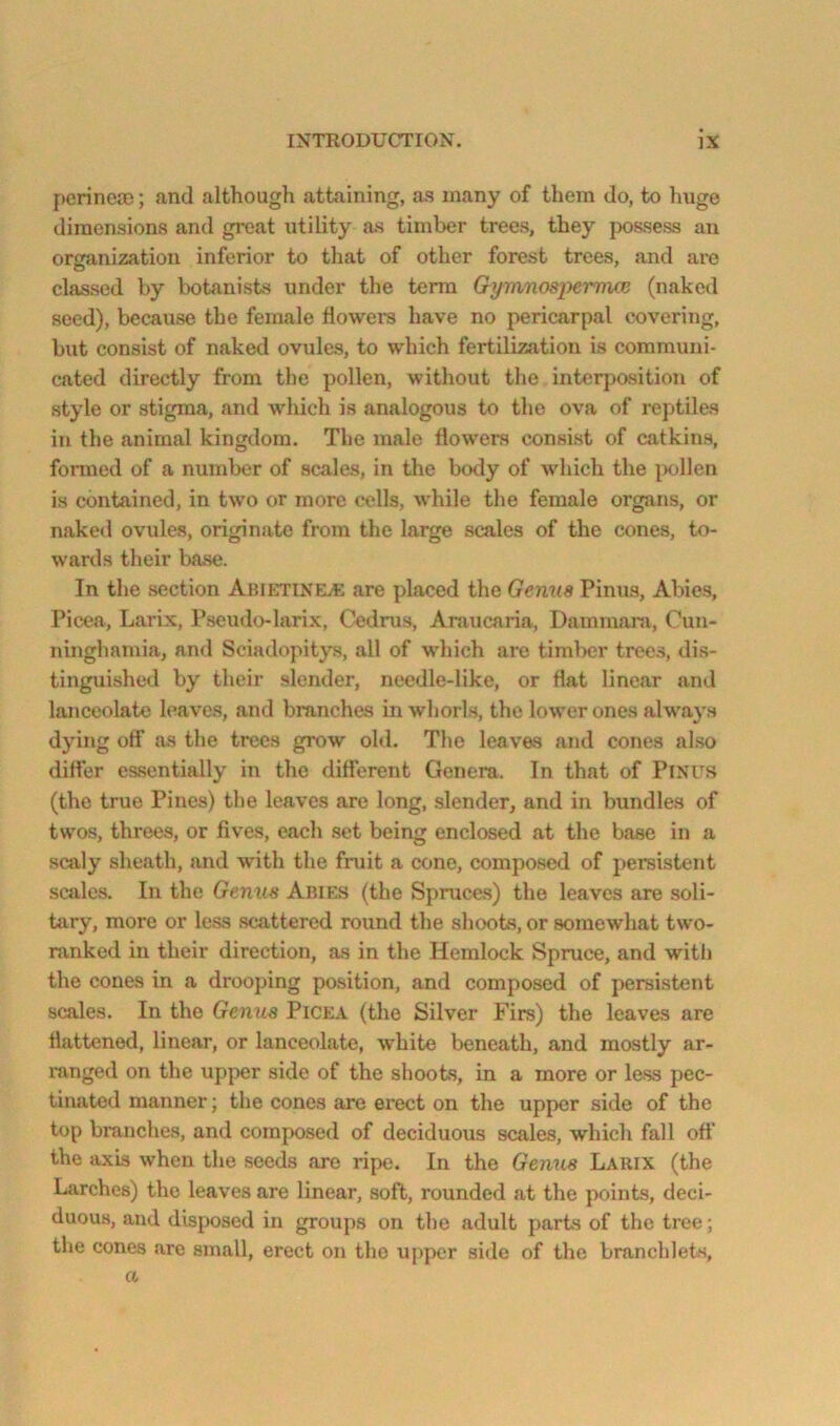 perinea); and although attaining, as many of them Jo, to Imge dimensions and great utility as timber trees, they possess an organization inferior to that of other forest trees, and are classed by botanists under the terra Gyrrmospennai (naked seed), because the female flowers have no pericarpal covering, but consist of naked ovules, to which fertilization is communi- cated directly from the pollen, without the interposition of style or stigma, and which is analogous to the ova of reptiles in the animal kingdom. The male flowers consist of catkins, fonncd of a numlicr of scales, in the body of which the |xjllen is contained, in two or more cells, while the female organs, or naked ovules, originate from the large scales of the cones, to- wards their base. In the section Abietixel« are placed the Genus Finns, Abies, Picea, Larix, Pseudo-larix, Cedrus, Aniucnria, Dammam, Cun- ninghamia, and Sciadopitys, all of which are timlxjr trees, dis- tinguished by their slender, needle-like, or fiat lineiar and lanceolate leaves, and branches in whorls, the lower ones alwaj's dying otf as the trees grow old. The leaves and cones also dilier essentially in the different Genera. In that of PiNUS (the true Pines) the leaves are long, slender, and in bundles of twos, threes, or fives, each set being enclosed at the base in a scaly sheath, and with the fmit a cone, composed of persistent scales. In the Genus Abies (the Spruce.s) the leaves are soli- tjiry, more or less scattered round the shoots, or somewhat two- ranked in their direction, as in the Hemlock Spruce, and with the cones in a drooping position, and composed of persistent scales. In the Genus Picka (the Silver Firs) the leaves are flattened, linear, or lanceolate, white beneath, and mostly ar- ranged on the upper side of the shoots, in a more or le.ss pec- tinated manner; the cones are erect on the upper side of the top branches, and composed of deciduous scales, which fall otf the jixis when the seeds are ripe. In the Gemis Larix (the Larches) the leaves are linear, soft, rounded at the points, deci- duous, and disposed in groups on the adult parts of the tree; the cones are small, erect on the u|)pcr side of the branchlets, a