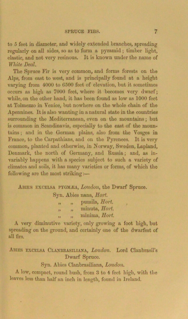 to 5 feet in diameter, and widely extended branches, spreading regularly on all sides, so as to form a pyramid ; timber light, elastic, and not very resinous. It is known under the name of White Deal. The Spruce Fir is very common, and forms forests on the Alps, from east to west, and is principally found at a height varying from 4000 to OoOO feet of elevation, but it sometimes occurs as high as 7000 feet, w’hero it becomes very dwarf; while, on the other hand, it has l>een found as low as 1000 feet at Tolmezzo in Venice, but nowhere on the whole chain of the Apennines. It is also wanting in a natural state in the countries surrounding the Mediterranean, even on the mountains; but is common in Scandinavia, esjiecially to the east of the moun- tains ; and in the German plains, also from the Vosges in France, to the Carpathians, and on the Pyrenees. It is very common, planted and otherwise, in Norway, Sweden, Lapland, Denmark, the north of Germany, and Russia; and, as in- variably haj)pens with a species subject to such a variety of climates ami soils, it has many varieties or forms, of which the following are the most striking:— Abies excelsa PYGMJi^i, Loudon, the Dwarf Spruce. Syn. Abies nana, llort. „ „ pumila, Hort. , „ „ minuta, Ilort. „ „ minima, llort. A very diminutive variety, only growing a foot high, but spreading on the ground, and certainly one of the dwarfest of all fii-s. AIUE.S EXCELSA Clanbrasiliana, Loudou. Lord Clanbrasil’s Dwarf Spruce. S}m. Abies Clanbrasiliana, Loudon. A low, compact, round bush, from .*1 to 4 feet high, with the leaves less than half an inch in length, found in Ireland.