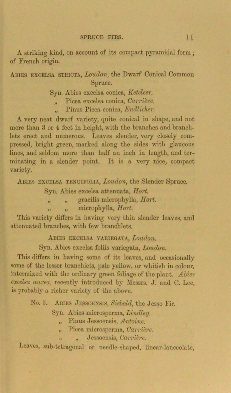 A striking kind, on account of its compact pynunidal form; of French origin. Abies excelsa stricta, Loudon, the Dwarf Conical Common Spruce. Syn. Abies excelsa conica, Keteleer. „ Picea excelsa conica, Carrih'e. „ Pinus Picea conica, Endllcher. A very neat dwarf variety, quite conical in shape, and not more than 3 or 4 feet in height, with the branches and branch- lets erect and numei'ous. Leaves slender, veiy closelj'^ com- pressed, bright green, marked along the sides w*ith glaucous lines, and seldom more than half an inch in length, and ter- minating in a slender point. It Ls a very niccj compact variety. Abies excelsa tenuifolia, Loudon, the Slender Spruce. Syn. Abies excelsa attenuata, llort. „ „ gracilis microphylla, Ilort. „ „ microphylla, Hort. This variety difters in having very thin slender leaves, and attenuated branches, witli few branchlets. Abies excelsa variegata, Loudon. Syn. Abies excelsa foliis variegata, Loudon. This differs in having some of its leaves, and occasionally some of the lessor branchlets, pale yellow, or whitish in colour, intermixed with the ordinary green foliage of the plant. Abies excelsa aurea, recently introduced by Messrs. J. and C. Lee, is probably a richer variety of the above. No. 5. Abies Jessoensis, Siehold, the Jesso Fir. Syn. Abies microsperma, Z/ntZ/cy. „ Pinus Jes.soensis, Antoine. „ Picea micro.spermn, Carrihre. „ „ Jessoensis, Carri^rc. Leaves, sub-tetragonal or needle-shaped, linear-lanceolate.