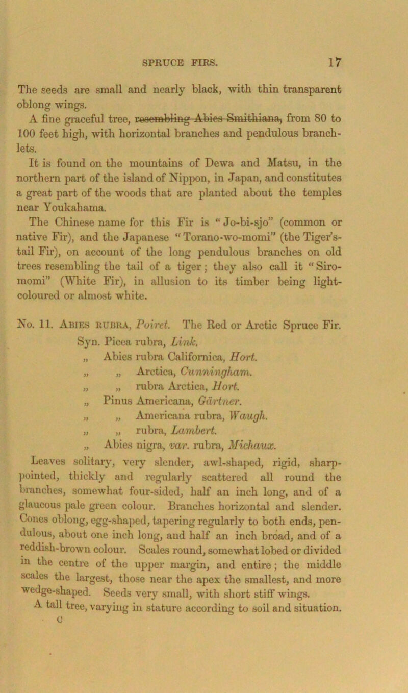The seeds are small and nearly black, with thin transparent oblong wings. A fine graceful tree, reocmbling Abiea Smithiana> from 80 to 100 feet high, with horizontal branches and pendulous branch- lets. It is found on the mountains of Dcwa and Matsu, in the northern part of the island of Nippon, in Japan, and constitutes a great part of the woods that are planted about the temples near Youkahama. The Chinese name for this Fir is “Jo-bi-sjo” (common or native Fir), and the Japanese “ Torano-wo-momi” (the Tiger’s- tail Fir), on account of the long pendulous branches on old treas resembling the tail of a tiger; they also call it “ Siro- momi” (White Fir), in allusion to its timber being light- coloured or almost white. No. 11, Abies rubka, Poiret. The Red or Arctic Spruce Fir. Syn. Picea I’ubra, Link. „ Abies rubra Califomica, Hart. „ „ Arotica, Cunningham. „ „ rubra Arctica, Hart. „ Pinus Americana, Gartner. „ „ Americana rubra, Waugh. „ „ rubra, Lambert. „ Abies nigra, var. rubra, Michaux. Loaves solitaiy^ very slender, awl-shaped, rigid, sharp- ))ointed, thickly and i-egularly scattered all round the branches, somewhat four-sided, half an inch long, and of a glaucous pale gi’cen colour. Bninches horizontal and slender. Cones oblong, egg-shaped, tapering regularly to both ends, pen- dulous, about one inch long, and half an inch broad, and of a reddish-brown colour. Scales round, somewhat lobed or divided in the centre of the upjier margin, and entire; the middle scales the largest, those near the apex the smallest, and more wedge-shaj)ed. Seeds very small, with short stitf wings. A tall tree, varying in stature according to soil and situation. 0