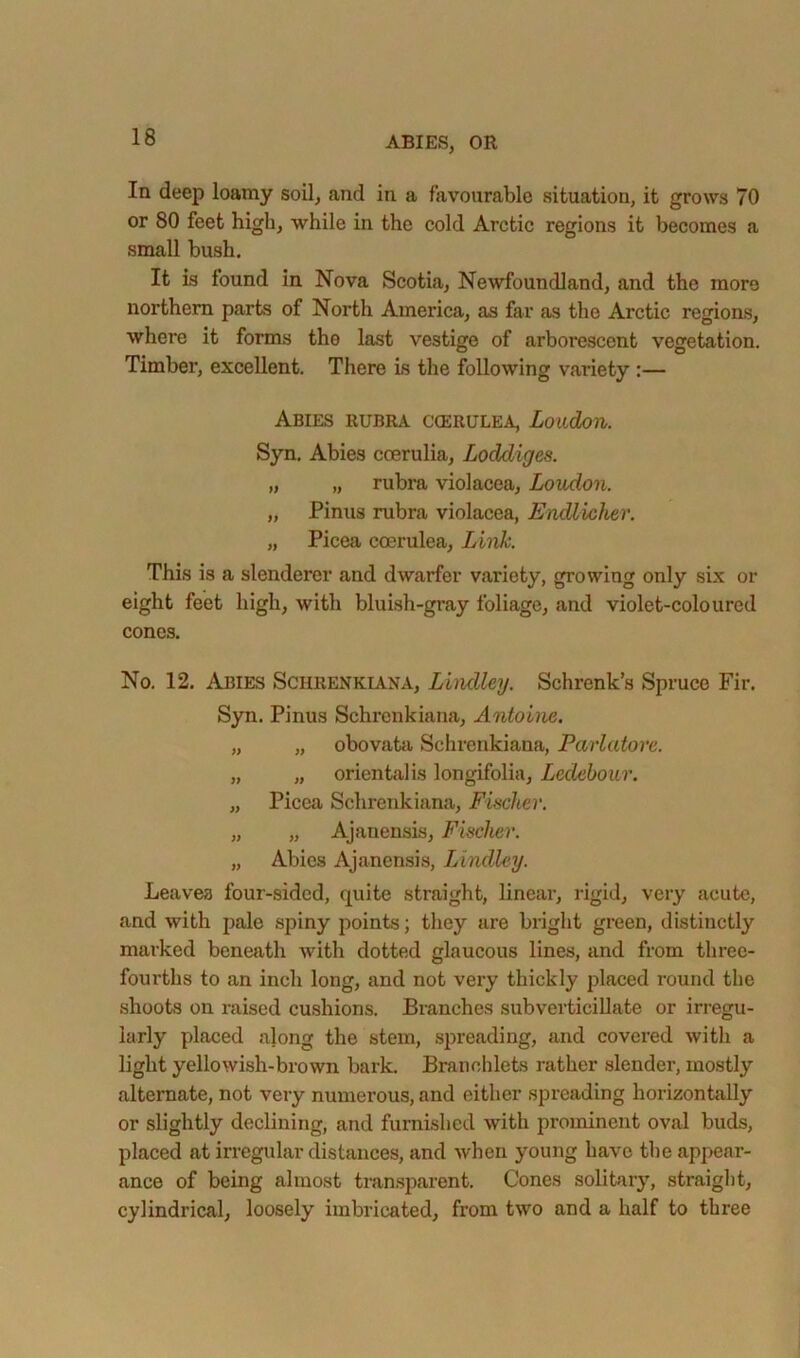 In deep loamy soil, and in a favourable situation, it grows 70 or 80 feet high, while in the cold Arctic regions it becomes a small bush. It is found in Nova Scotia, Newfoundland, and the more northern parts of North America, as far as the Arctic regions, where it forms the last vestige of arborescent vegetation. Timber, excellent. There is the following variety :— Abies rubra ccerulea, Loudon. Syn. Abies coerulia, Loddiges. „ „ rubra violacea, Loudon. „ Pinus rubra violacea, Endlicher. „ Picea ccerulea, LiiiL. This is a slenderer and dwarfer variety, growing only six or eight feet high, with bluish-gray foliage, and violet-coloured cones. No. 12. Abies Schrenkiana, Lindley. Schrenk’s Spruce Fir. Syn. Pinus Schrenkiana, Antoine. „ „ obovata Sclirenkiana, Parlatorc. „ „ orientalis longifolia, Ledebour. „ Picea Schrenkiana, Fischer. „ „ Ajanensis, Fischer. „ Abies Ajanensis, Lindley. Leaves four-sided, quite straight, linear, rigid, very acute, and with pale spiny points; they are bright green, distinctly marked beneath with dotted glaucous lines, and from three- fourths to an inch long, and not very thickly placed round the shoots on raised cushions. Bi-anches subverticillate or irregu- larly placed along the stem, .spreading, and covered with a light yellowish-brown bark. Branchlets rather slender, mostly alternate, not very numerous, and either spreading horizontally or slightly declining, and furnished with prominent oval buds, placed at irregular distances, and when young have the appear- ance of being almost tran.sparent. Cones solitary, straight, cylindrical, loosely imbricated, from two and a half to three