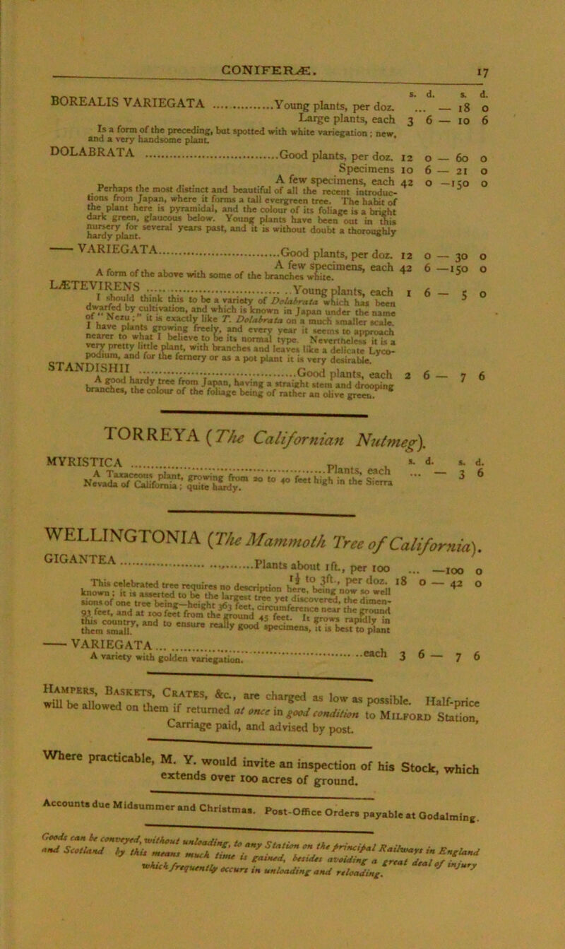 12 o — 6 — o BOREALIS VARIEGATA Young plants, per doz. Large plants, each 3 6 Is a form of the preceding, but spotted with white rariegation ; new and a very handsome plant. ’ DOLABRATA Good plants, per doz. Specimens 10 _ . , . A few specimens, each 42 Perhaps the most distjnct and beautiful of all the recent introduc- hons from Japan, where it forms a tall evergreen tree. The habit of me plant here is pyramidal, and the colour of its foliage is a bright dark grem, glaucous below. Young plants have been out in this h^'^lMt “ “ ■‘hout doubt a thoroughly VARIEGATA Good plants, per dor. 12 * fo™ 0, .ho.. .Uh „ 4. V<w,^«dl , .tJ tht* to ^ a vanoty of Dolabrata which has been f hov. ^. >t » ewtly bke T. Dolahrata on a much smaller scale. nea!^ tn*“whlf*r’Cr* t “> approach nearer to what I believe to be Us normal type. Nevcntselett it is a ^u^ aLl'ft?^f‘' •tt* '“»«* » delicate Lyco- podium, and for the fernery or as a pot plant it is very desirabie. ^A^B^^haid tAU'f i fc Good plants, each 2 » straiaht stem and drooping branches, the colour of the foluge being of rather an olive green. 18 10 60 — 21 -150 — 30 — 150 TORREYA(7)^ Californian Nulmeg). MYRISTICA A Tazac^s plant, growing from ao Nevada of Cahfumia; quite hardy. Plants, each to 40 feet high in the Sierra s. d. d. O 6 6—50 6—76 s. d. 3 6 WELLINGTONIA {^The Mammoth Tree of California-). pu.o.bo„,.rh,p...„„ 18 known ; it u asserted tn he fKj> Ui r>.,. . now so wcii aionsof one trJ^iTg-^‘ht thedunen- 93 feet, and at too fjt f^ me^ii!^d arC iTZ* lhem'.rr «»5P^'Uirne.i:rul^^ . —100 O — 42 VARIEGATA A variety with golden variegation. .each 36—76 Hampers, Baskets. Crates, &c., are charged as low as nossible iTaif • w be allowed on them if returned in #001/t^MiLFORD Stado^ Lamage paid, and advised by post m.™ p„eao.bl., M Y „o„,d of hi. Stock, which extends over 100 acres of ground.