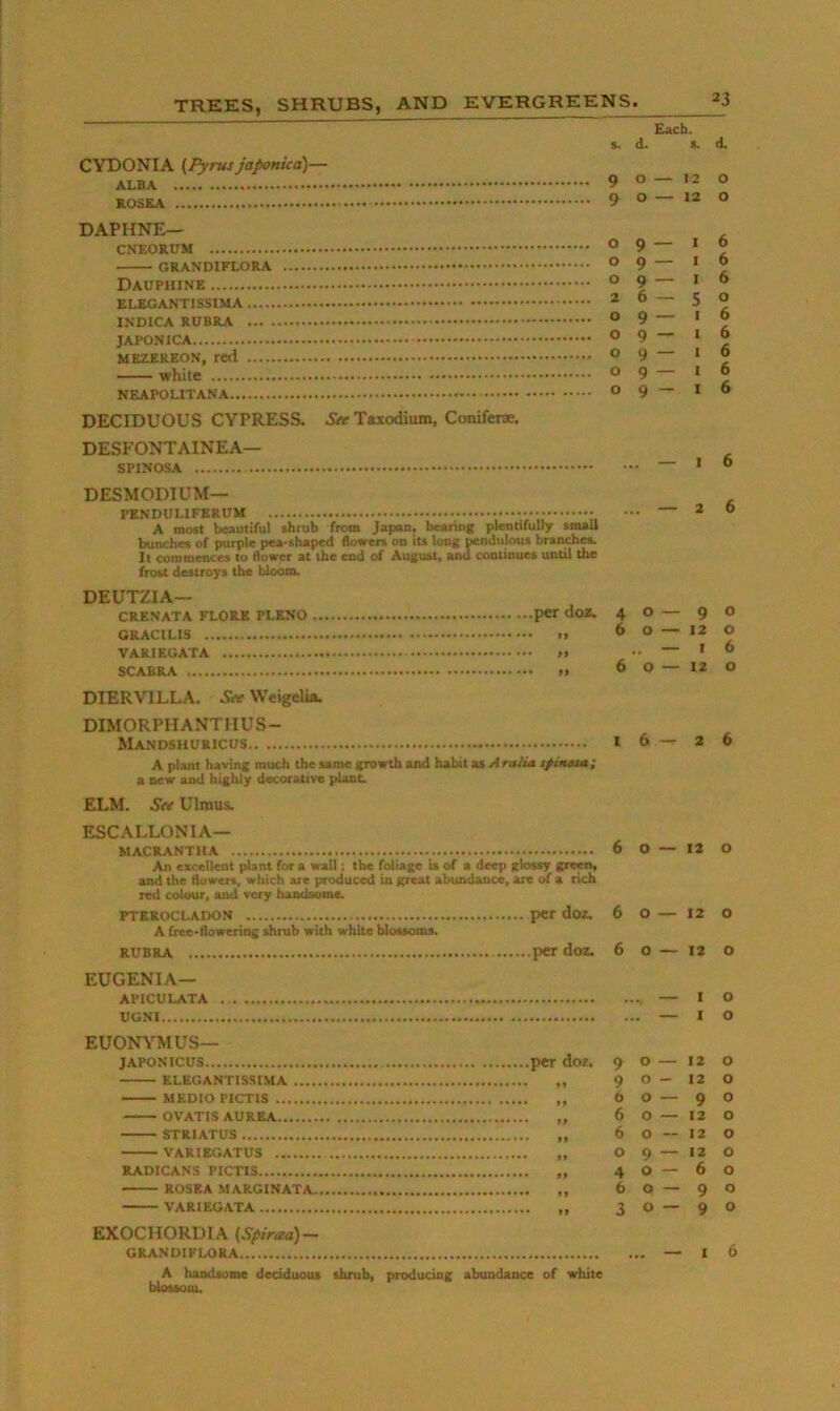 CYDONIA {Pyrus japonicd)— ALBA ROSKA Each. 5. d. s. d. 9 O — 12 O 9 O — 12 O DAPHNE— CNEORUM GRANDIFLORA Dauphine KLKCANTISSIMA INDICA RUBRA JAPONICA MEZEREON, red white DECIDUOUS CYPRESS. Set Taxodium, Coniferx. DESFONTAINEA— SPINOSA 09 — 16 09 — 16 09 — 16 26 — 50 09 — 16 09—16 09 — 16 09 — 16 09—16 ... — 16 DESMODIUM— PKNDULIFERUM A mo*t beautiful ihrub from Japan, bearing plentifully small bunches of purple pea-shaped flowers on iu long pendulous branchy It commences to flower at the end of August, and continues until the frost destroys the bloom. DEUTZIA— CRENATA FLORE PLENO pcr doz. GRACtHS >. VARIEGATA *r SCABRA 40 — 90 6 O — 12 O — 16 6 0—12 O DIERVILLA. See Weigelia. DIMORPHANTHUS- Mandskuricus 16—26 A plant having much the same growth and habit as A ralia s/itttut; a new and highly decorative plant. ELM. See Ulmus. ESCALLONIA— MACRANTHA 6 O — 12 O An excellent plant for a wall; the foliage is of a deep glossy green, and the flowers, which are produced in great abundance, arc of a rich red colour, and very handsome. PTEROCLADON 6 0 — 12 0 A £ree-flowering shrub with white blossoms. RUBRA 6 0 — 12 0 EUGENIA— APICULATA .. ... — I 0 UGNI - - 1 0 EUONYMUS— JAPOh'lCUS 9 0 — 12 0 ELEGANTIS-SIMA 9 0 — 12 0 MEDIO PICTIS 6 0 — 9 0 OVATIS AITREA 6 0 — 12 0 STRIATUS 6 0 12 0 VARIEGATUS ** 0 0 .. 12 0 RADICANS PICTIS 4 0 6 0 ROSEA MARGINATA 6 0 9 0 VARIEGATA . .. ■2 0 -1- 0 0 EXOCHORDIA (Spiraa)- 6 GRANDIFLORA — 1 A handsome deciduous shrub, producing abundance of white blMSooi.