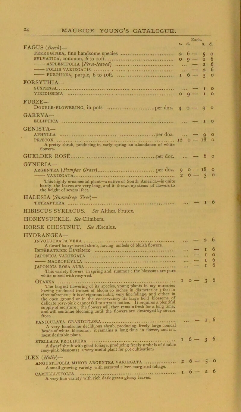 Each. FAGUS {Beech)— FERRUGiNEA, fine handsome species 26 — 50 SYLVATiCA, common, 6 to loft o 9 — 1 6 ASPLENIFOLIA {Fent-leaved) — 26 FOLIIS VARIEGATIS — 2 6 PURPUREA, purple, 6 to loft I 6 — 5 o FORSYTHIA— SUSPENSA — I O VIRIDISSIMA 09 — 10 FURZE— Double-flowering, in pots per doz. 40 — 90 GARRYA— elliptica — I o GENISTA— APHYLLA per doz. ... — 9 o PRiECOX 12 O — 18 O A pretty shrub, producing in early spring an abundance of white flowers. GUELDER ROSE per doz. ...—60 GYNERIA— argentea (Pampas Grass) per doz. 9 o — 18 o VARIEGATA 26 — 3 O This highly ornamental plant—a native of South America—is quite hardy, the leaves are very long, and it throws up stems of flowers to the height of several feet. HALESIA (Snowdrop Tree)— TETRAPTERA — I 6 HIBISCUS SYRIACUS. See Althea Frutex. HONEYSUCKLE. See Climbers. HORSE CHESTNUT. See ^sculus. HYDRANGEA— INVOLUCRATA VERA — 2 6 A dwarf hairy-leaved shrub, having umbels of bluLsh flowers. Imperatrice Eugenie — i ° JAPONICA VARIEGATA — I O MACROPHYLLA — I 6 JAPONICA ROSA ALBA — I 6 This variety flowers in spring and summer ; the blossoms arc pure ■white mixed with rosy-red. OTAKSA 10 — 36 The largest flowering of its species, young plants in my nurseries having produced trusses of bloom 20 inches in diameter or 5 feet in circumference; it is of vigorous habit, very fine foliage, and cither in the open ground or in the conservatory its large bold blossoms of delicate rosy-pink cannot fail to attract notice.^ It requires a plentiful supply of moisture ; the flowers will then remain fresh for a long time, and will continue blooming until the flowers arc destroyed by severe frost. PANICULATA - ... — I 6 A very handsome deciduous shrub, producing freely large conical heads of white blossoms; it remains a long time in flower, and i.s a most desirable plant. STELLATA PROLIFERA I ^ 36 A dwarf shrub with good foliage, producing freely umbels of double rosy-pinlc blossoms J a'very useful plant for pot cultivation. VLYy. (Holly)- ANGUSTIFOLIA MINOR ARGENTEA VARIEGATA 2 0 50 A small growing variety with serrated silver-margined foliage. CAMELLIA5F0LIA * ^ ^ ^ A very fine variety with rich dark green glossy leaves*