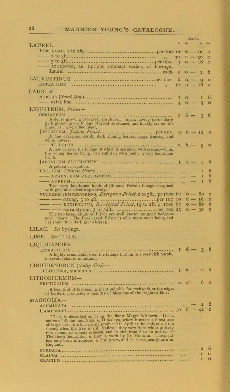 Each. to 2ft per loo s. d. s. d. 12 6 — 16 0 30 0 .so 0 .per doz. Portugal 9 0 — 18 0 I 0 2 6 .per doz. 6 0 9 0 12 0 — 18 0 o — I 6 6—50 6—36 12 o 6 — 50 10 — I 6 ... — 16 ... — 16 ... — 16 LAUREL— Portugal, i 2 to 3ft. 3 to 4ft per doz. AZORICUM, an upright compact variety of Portugal Laurel each LAURUSTINUS per doz EXTRA FINE LAURUS— NOBiLis [Sweet Bay) i extra fine 3 LIGUSTRUM, Privet— CORIACEUM I A dense growing evergreen shrub from J.ipan, having ’particularly dark glossy green foliage of good substance, and thickly set on the branches ; a very fine plant. Japonicum, Japan Privet per doz. 9 A fine evergreen shrub, dark shining leaves, large trusses, and white flowers. TRICOLOR 2 A new variety, the foliage of which is margined with creamy-white, the young leaves being also suffused with pink ; a very handsome shrub. Japonicum variegatum A golden variegation. LUCIDUM, Chinese Privet argenteum variegatum aureum Two very handsome kinds of Chinese Privet; foliage margined with gold and silver respectively. vulgare sempervirens, Evergreen Privet, 2 to pr 1000 60 strong, 3 to 4ft per 100 10 buxifolium, Box-leaved Privet, ij to 2ft. pr 1000 60 extra strong, 3 to 3|ft per 100 25 The two latter kinds of Privet are well known as good hedge or cover plants. The Box-leaved Privet is of a more erect luibit, and has short thick dark green leaves. LILAC. See Syringa. LIME. See TILIA. LIQUIDAMBER- STYRACIFLUA I A highly ornamental tree, the foliage turning to a very rich purple, in several shades in autumn. LIRIODENDRON (Tulip Tree)— TULIPIFERA, standards 16—26 LITHOSPERMUM— FRUTICOSUM 4 A beautiful little creeping plant suitable for rockwork or the edges of borders, producing a quantity of blossoms of the brightest blue. MAGNOLIA— ACUMINATA Campbelli 10 “ This is described as being the finest Magnolia known. It is a native of Bhotan and .Sikkim, Himalaya, where it makes a forest tree of large size ; the flowers are produced in April at the ends of all the shoots, when the tree is still leafless; they vary from white to deep rose colour, or almost crimson, and in size from 6 to to inches. *— The above description is from a work by Dr. Hooker. The plant has only been introduced a few years, and is consequently rare in England. CORDATA GLAUCA GRACILIS O — 80 O — 16 O — 80 0 — 30 6—36 — 60 2 6 42 O — 26 — I 6 — I O