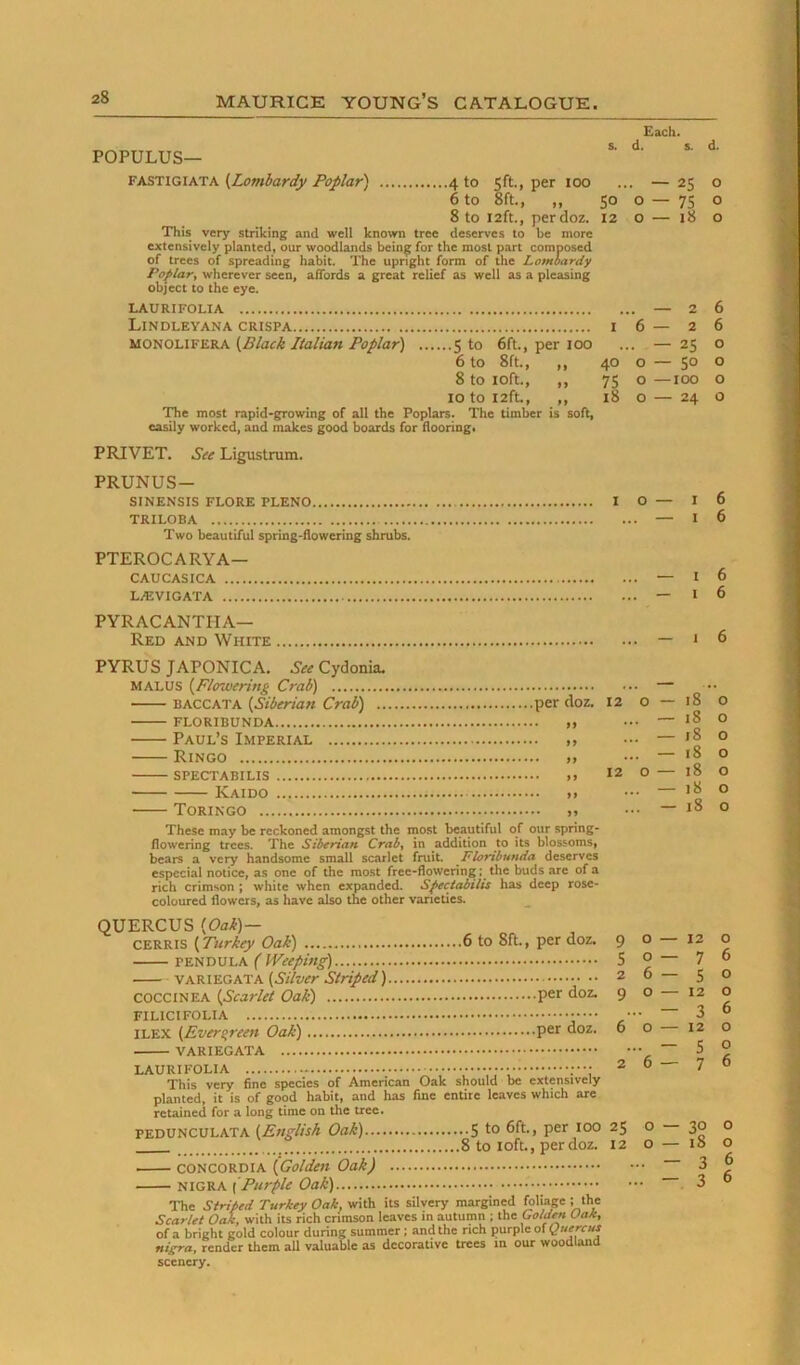 Eacli. s. d. s. d. POPULUS— VASTiGWTA (Lombardy Poplar) 4 to ?ft., per 100 ... — 2K o 6 to 8ft., ,, 50 o — 75 o 8 to 12ft., perdoz. 12 o — 18 o This very striking and well kno\vn tree deserves to he more extensively planted, our woodlands being for the most part composed of trees of spreading habit. The upright form of the Lombardy Poplar, wherever seen, affords a great relief as well as a pleasing object to the eye. LAURIFOLIA — 26 Lindleyana crispa 16—26 (Black Italian Poplar) 5 to 6ft., per 100 ... — 25 o 6 to 8ft., ,, 40 o — 50 o 8 to I oft., ,, 75 o—100 o 10 to 12ft., ,, 18 o — 24 o The most rapid-growing of all the Poplars. The timber is soft, easily worked, and makes good boards for flooring, PRIVET. See Ligustrum. PRUNUS- SINENSIS FLORE PLENO I TRILOBA Two beautiful spring-flowering shrubs. PTEROCARYA— CAUCASICA L.EVIGATA PYRACANTHA— Red and White PYRUS JAPONICA. See Cydonia. MALUS (Flowering Crab) BACCATA (Siberian Crab) per doz. 12 FLORIBUNDA ,1 Paul’s Lmperial ,, Ringo )• SPECTABILIS >) 12 ■ Kaido >> ToRINGO ), These may be reckoned amongst the most beautiful of our spring- flowering trees. The Siberian Crab, in addition to its blossoms, bears a very handsome smalt scarlet fruit. Fhribunda deserves especial notice, as one of the most free-floweringthe buds are of a rich crimson ; white when expanded. Spectabilis has deep rose- coloured flowers, as have also the other varieties. QUERCUS (OaJt)~ CERRis (Turkey Oak) 6 to 8ft., per doz. 9 PENDULA ( Weeping) 5 VA (sAver Striped) 2 COCCiNEA (Scarlet Oak) per doz. 9 FILICIFOLIA ILEX (Everstreen Oak) per doz. 6 VARIEGATA LAURIFOLIA ••• ;••• 2 This very fine species of American Oak should be extensively planted, it is of good habit, and has fine entire leaves which are retained for a long time on the tree. PEDUNCULATA (English Oak) 5 to 6ft., per loo 25 8 to loft., perdoz. 12 CONCORDIA (Golden Oak) NIGRA (Purple Oak) The striped Turkey Oak, with its silvery margined foliage ; the Scarlet Oak, with its rich crimson leaves in autumn ; the Coldm Uak, of a bright gold colour during summer; and the rich purple of nigra, render them aU valuable as decorative trees m our woodland scenery. 0-18 . — 18 . — 18 . — 18 O — 18 . — 18 . - 18 O — 12 0—7 6 - 5 o — 12 • — 3 o — 12 • - S 6 - 7 0 — 30 o — 18 — 3 — 3 6 6 6 6 6 o o o o o o o o 6 o o 6 o o 6 o o 6 6