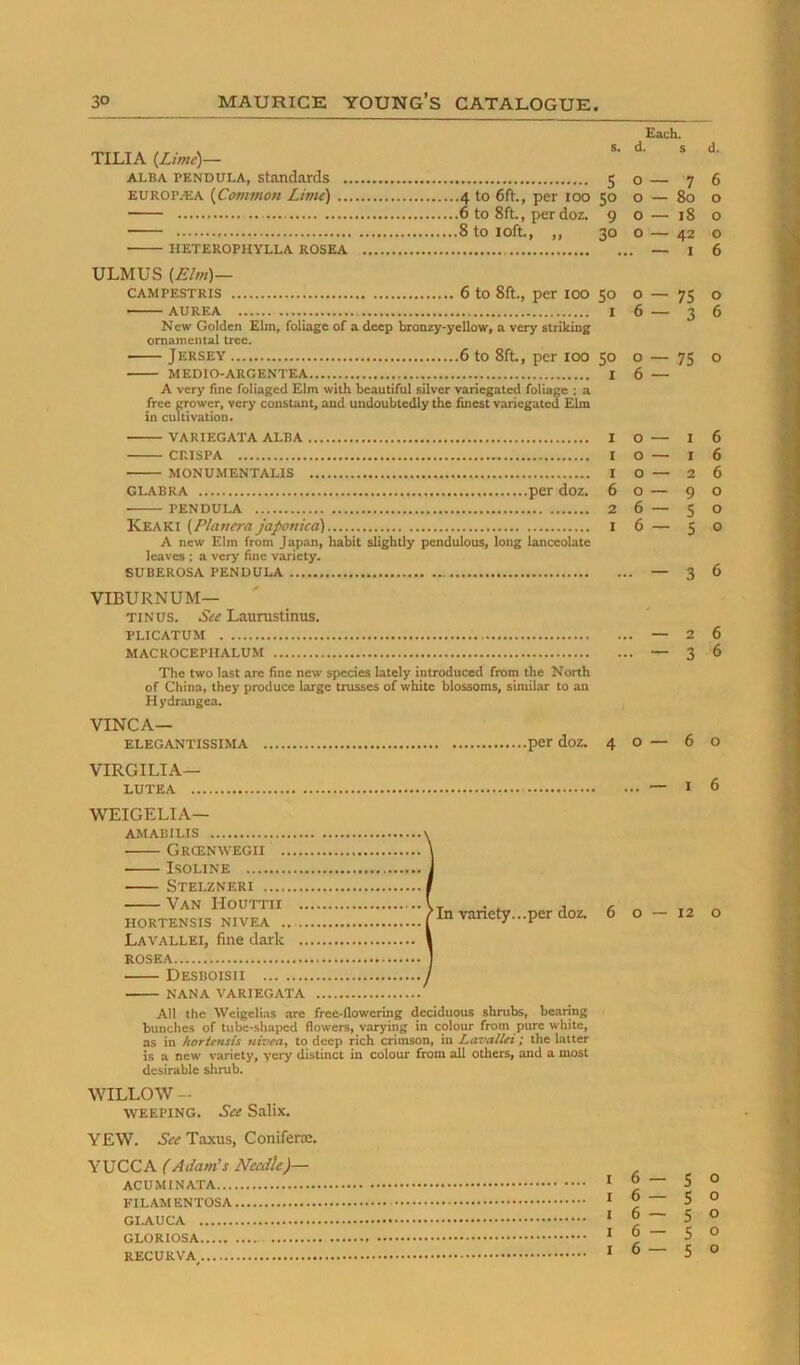 TILIA {Lime)— ALBA PENDULA, Standards 5 EUROPALA {Common Lime) 4 to 6ft., per 100 50 — 6 to 8ft., per doz, 9 8 to loft., ,, 30 HETEROPHYLLA ROSEA ULMUS {Elm)— CAMPESTRIS 6 to 8ft., per lOO 50 AUREA I New Golden Elin, foliage of a deep bronzy-yellowi a very striking ornamental tree. Jersey 6 to 8ft., per loo 50 medio-argentea I A very fine foliaged Elm with beautirul silver variegated foliage ; a free grower, very constant, and undoubtedly the finest variegated Elm in cultivation. variegata alba I CRISPA I MONUMENTALIS I GLABRA per doz. 6 PENDULA 2 Keaki {Planera japonica) i A new Elm from Japan, habit slightly pendulous, long lanceolate leaves ; a very fine variety. SUBEROSA PENDULA viburnum- tin US. See Laurustinus. PLICATUM MACROCEPIIALUM The two last are fine new species lately introduced from the North of China, they produce large trusses of white blossoms, similar to an Hydrangea. VINCA— ELEGANTISSIMA per doz. 4 VIRGILIA— LUTEA .. WEIGELIA— AMABILIS Grcenwegii Isoline Stelzneri Van Houttii .. HORTENSIS NIVEA Lavallei, fine dark .. ROSEA Desboisii NANA VARIEGATA All the Weigelias are free-flowering deciduous shrubs, bearing bunches of tube-shaped flowers, varying in colour from pure white, as in hortensis ttivea, to deep rich crimson, in LavalUt; the latter is a new variety, very distinct in colour from all others, and a most desirable shrub. WILLOW- WEEPING. See Salix. YEW. Taxus, ConiferDe. YUCCA (Adam’s Needle)— ACUMINATA FILAMENTOSA GIAUCA GLORIOSA Un variety...per doz. 6 Each. d. s d. O — 76 0 — 80 O O — 18 O O — 42 O — 16 o — 75 o 6—36 0—75 o 6 — o — 16 o — 16 o — 26 o — 90 6 — 50 6 — 50 — 3 6 — 26 — 36 o — 60 . — 16 o — 12 o 6—50 6 — 50 6—50 6—50 6—50
