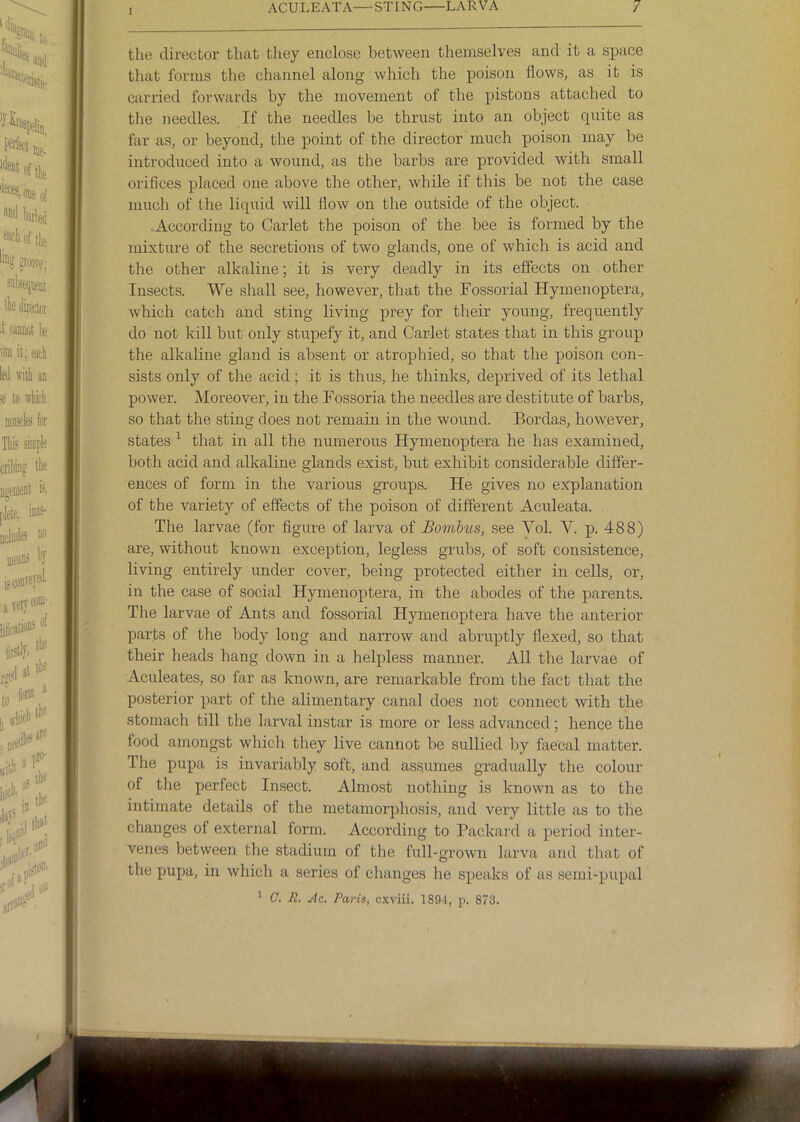 the director that they enclose between themselves and it a space that forms the channel along which the poison flows, as it is Ciirried forwards by the movement of the pistons attached to the needles. If the needles be thrust into an object quite as far as, or beyond, the point of the director much poison may be introduced into a wound, as the barbs are provided with small orifices placed one above the other, while if this be not the case much of the liquid will flow on the outside of the object. -According to Carlet the poison of the bee is formed by the mixture of the secretions of two glands, one of which is acid and the other alkaline; it is very deadly in its effects on other Insects. We shall see, however, that the Fossorial Hymenoptera, which catch and sting living prey for their young, frequently do not kill but only stupefy it, and Carlet states that in this group the alkaline gland is absent or atrophied, so that the poison con- sists only of the acid; it is thus, he thinks, deprived of its lethal power. Moreover, in the Fossoria the needles are destitute of barbs, so that the sting does not remain in the wound. Bordas, however, states ^ that in all the numerous Hymenoptera he has examined, both acid and alkaline glands exist, but exhibit considerable differ- ences of form in the various groups. He gives no ex:planation of the variety of effects of the poison of different Aculeata. The larvae (for figure of larva of Bombus, see Vol. V. p. 488) are, without known exception, legless grubs, of soft consistence, living entirely under cover, being protected either in cells, or, in the case of social Hymenoptera, in the abodes of the parents. The larvae of Ants and fossorial Hymenoptera have the anterior parts of the body long and narrow and abruptly flexed, so that their heads hang down in a helpless manner. All the larvae of Aculeates, so far as known, are remarkable from the fact that the posterior part of the alimentary canal does not connect with the stomach till the larval instar is more or less advanced; hence the food amongst which they live cannot be sullied by faecal matter. The pupa is invariably soft, and assumes gradually the colour of the perfect Insect. Almost nothing is known as to the intimate details of the metamorphosis, and very little as to the changes of external form. Accox’ding to Packard a period inter- venes between the stadium of the full-grown larva and that of the pupa, in which a sei’ies of changes he speaks of as semi-pupal * C. It. Ac. Paris, c.'cviii. 189-1, p. 873.