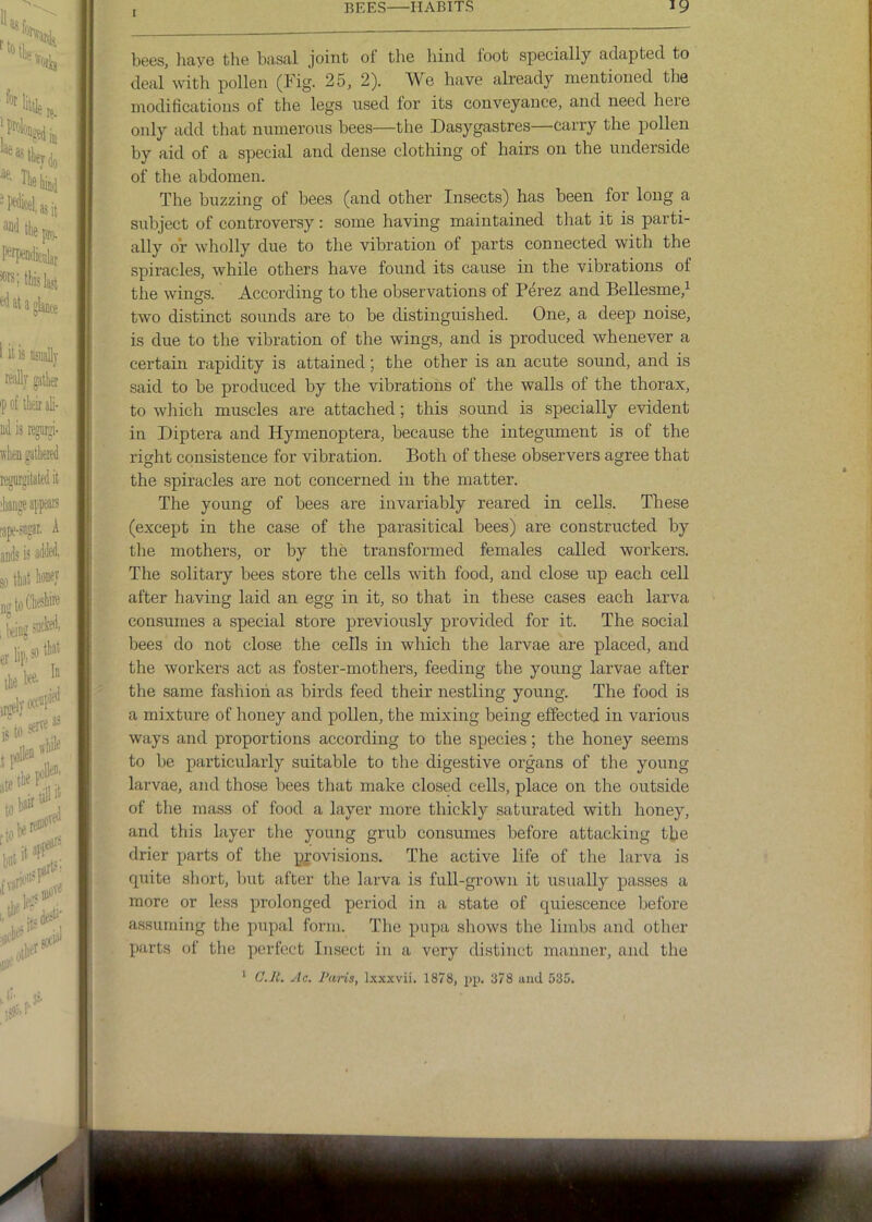 bees, liaye the basal joint oi the hind loot specially adapted to deal with pollen (Fig. 25, 2). We have already mentioned the modifications of the legs used for its conveyance, and need here only add that numerous bees—the Dasygastres—carry the pollen by aid of a special and dense clothing of hairs on the underside of the abdomen. The buzzing of bees (and other Insects) has been for long a subject of controversy: some having maintained that it is parti- ally or wholly due to the vibration of parts connected with the spiracles, while others have found its cause in the vibrations of the wings. According to the observations of P4rez and Bellesme,^ two distinct sounds are to be distinguished. One, a deep noise, is due to the vibration of the wings, and is produced whenever a certain rapidity is attained; the other is an acute sound, and is said to be produced by the vibrations of the walls of the thorax, to which muscles are attached; this sound is specially evident in Diptera and Hymenoptera, because the integument is of the right consistence for vibration. Both of these observers agree that the spiracles are not concerned in the matter. The young of bees are invariably reared in cells. These (except in the case of the parasitical bees) are constructed by the mothers, or by the transformed females called workers. The solitary bees store the cells with food, and close up each cell after having laid an egg in it, so that in these cases each larva consumes a special store previously provided for it. The social bees do not close the cells in which the larvae are placed, and the workers act as foster-mothers, feeding the young larvae after the same fashion as birds feed their nestling young. The food is a mixture of honey and pollen, the mixing being effected in various ways and proportions according to the species; the honey seems to be particularly suitable to tlie digestive organs of the young larvae, and those bees that make closed cells, place on the outside of the mass of food a layer more thickly saturated with honey, and this layer the young grub consumes before attacking the drier parts of the provisions. The active life of the larva is j cpiite short, but after the larva is full-grown it usually passes a V more or less prolonged period in a state of cpiiescence before assuming the pupal form. The pupa shows the limbs and other parts of the perfect Insect in a very distinct manner, and the ' C.Jl. Ac. l‘ai~is, l.’c.'cxvii. 1878, pp. 378 and 635.