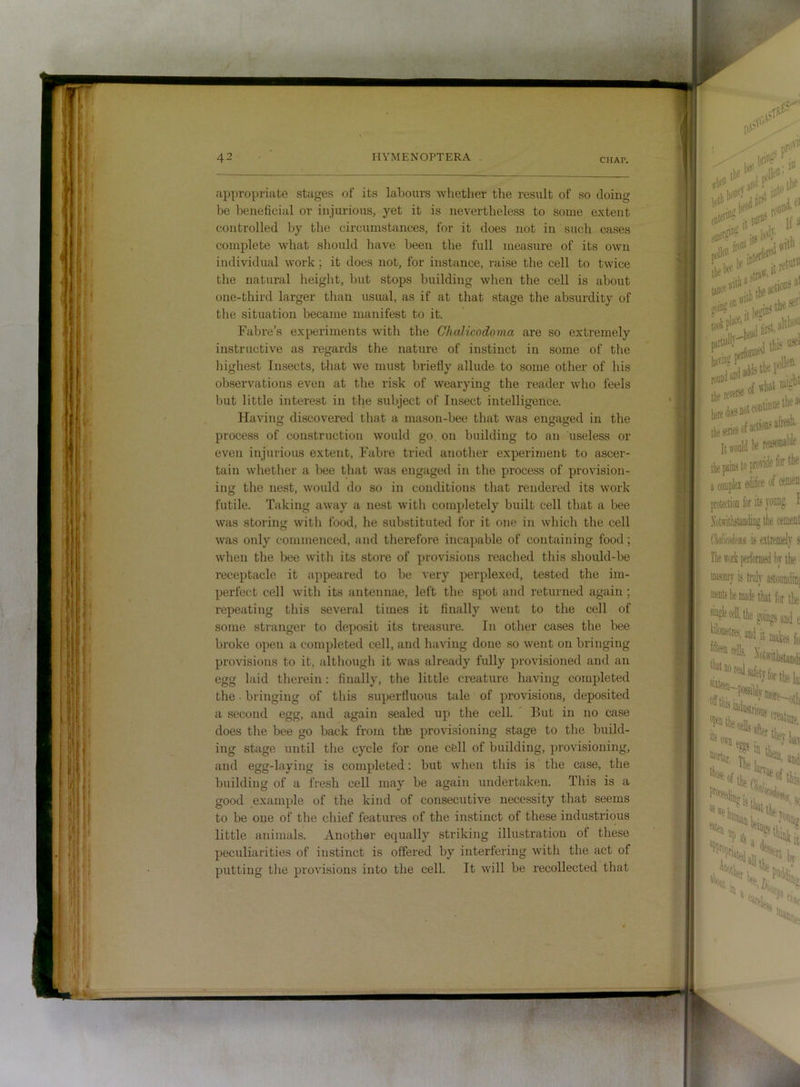 appropriate stages of its labours whether the result of so doing be beneficial or injurious, yet it is nevertheless to some extent controlled by the circumstances, for it does not in such cases complete what should have been the full measure of its own individual work; it does not, for instance, raise the cell to twice the natural height, but stops building when the cell is about one-third larger than usual, as if at that stage the absurdity of the situation became manifest to it. Fabre’s experiments with the Chalicodoma are so extremely instructive as regards the nature of instinct in some of the liighest Insects, that we must briefly allude to some otlier of his observations even at the risk of wearying the reader who feels but little interest in the subject of Insect intelligence. Having discovered that a mason-bee that was engaged in the process of construction would go, on building to an useless or even injurious extent, Fabre tried another experiment to ascer- tain whether a bee that was engaged in the process of provision- ing the nest, would do so in conditions that rendered its work futile. Taking away a nest with completely built cell that a bee was storing with food, he substituted for it one in which the cell was only commenced, and therefore incapable of containing food; when the bee with its store of provisions reached this should-be receptacle it appeared to be very perplexed, tested the im- perfect cell with its antennae, left the spot and returned again ; repeating this several times it finally went to the cell of some stranger to deposit its treasure. In other cases the bee broke open a completed cell, and having done so went on bringing provisions to it, although it was already fully provisioned and an egg laid therein : finally, the little creature having completed the bringing of this superfluous tale of provisions, deposited a second egg, and again sealed up the cell. ' But in no case does the bee go back from the provisioning stage to the build- ing stage until the cycle for one cell of building, provisioning, and egg-laying is completed: but when this is the case, the building of a fresh cell may be again undertaken. This is a good example of the kind of consecutive necessity that seems to be one of the chief features of the instinct of these industrious little animals. Another equally striking illustration of these peculiarities of instinct is offered by interfering with the act of putting tlie provisions into the cell. It will be recollected that