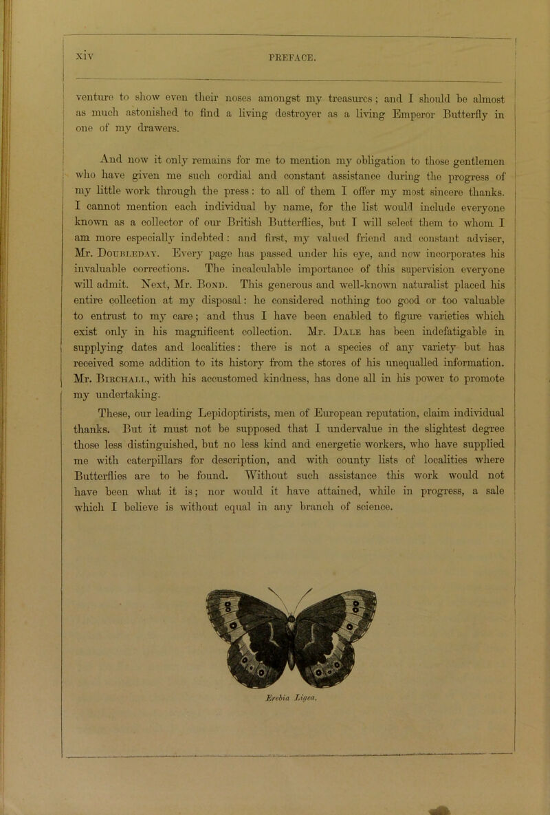 venture to show even their noses amongst my treasures; and I should he almost as much astonished to find a living destroyer as a living Emperor Butterfly in one of my drawers. And now it only remains for me to mention my obligation to those gentlemen who have given me such cordial and constant assistance during the progress of my little work through the press: to all of them I offer my most sincere thanks. I cannot mention each individual by name, for the list would include everyone known as a collector of our British Butterflies, but T will select them to whom I am more especiall}' indebted : and first, my valued friend and constant adviser, Mr. Doubleday. Every page has passed under his eye, and now incorporates his invaluable corrections. The incalculable importance of this supervision everyone will admit. Next, Mr. Bond. This generous and well-known naturalist placed his entire collection at my disposal: he considered nothing too good or too valuable to entrust to m3- care; and thus I have been enabled to figure varieties which exist onl}r in his magnificent collection. Mr. Dale has been indefatigable in supplying dates and localities: there is not a species of an}- variety but has received some addition to its histoiy from the stores of Iris unequalled information. Mr. Birchall, with his accustomed kindness, has done all in his power to promote my undertaking. These, our leading Lepidoptirists, men of European reputation, claim individual thanks. But it must not be supposed that I undervalue in the slightest degree those less distinguished, but no less kind and energetic workers, who have supplied me with caterpillars for description, and with count}T lists of localities where Butterflies are to be found. Without such assistance this work would not have been what it is; nor would it have attained, while in progress, a sale which I believe is without equal in an}' branch of science. Erebia lit/ea.