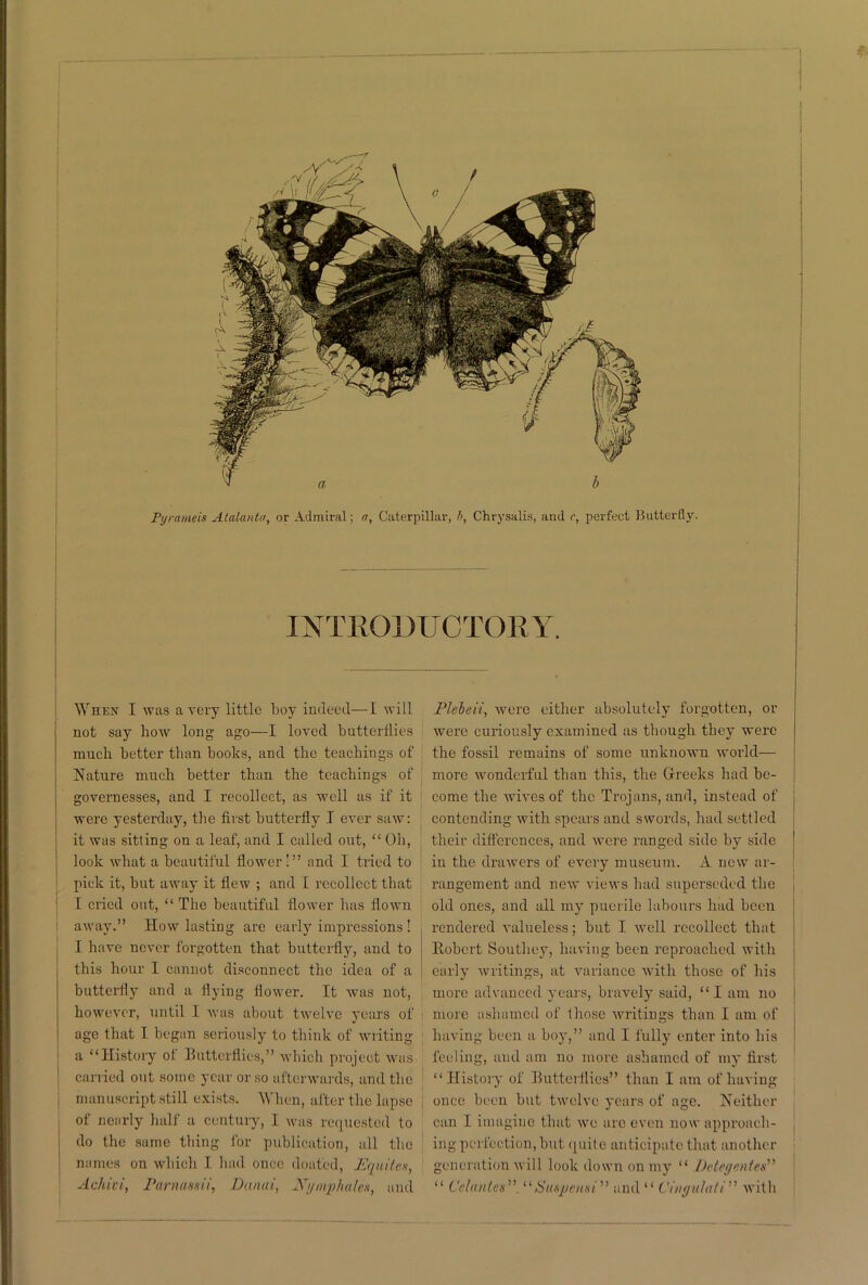 Pyrameis Atalanta, or Admiral; a. Caterpillar, h, Chrysalis, and c, perfect Butterfly. ■ INTRODUCTORY. When I was a very little boy indeed—I will not say how long ago—I loved butterflies much better than books, and the teachings of Nature much better than the teachings of governesses, and I recollect, as well as if it were yesterday, the first butterfly I ever saw: it was sitting on a leaf, and I called out, “ Oh, look what a beautiful flower!” and I tried to pick it, but away it flew ; and I recollect that I cried out, “ The beautiful flower has flown away.” How lasting are early impressions ! I have never forgotten that butterfly, and to this hour 1 cannot disconnect the idea of a butterfly and a flying flower. It was not, however, until I was about twelve years of age that I began seriously to think of writing a “History of Butterflies,” which project was carried out some year or so afterwards, and the manuscript still exists. When, after the lapse of nearly half a century, I was requested to do the same thing for publication, all the names on which I had once doat'ed, JEauitea, Achici, Parnassii, Danai, Xymphales, and Plebeii, were either absolutely forgotten, or were curiously examined as though they were the fossil remains of some unknown world— more wonderful than this, the Greeks had be- come the wives of the Trojans, and, instead of contending with spears and swords, had settled | their differences, and were ranged side by side ! in the drawers of every museum. A new ar- rangement and new views had superseded the old ones, and all my puerile labours had been rendered valueless; but I well recollect that Robert Southey, having been reproached with early writings, at variance with those of his more advanced years, bravely said, “I am no more ashamed of those writings than I am of having been a boy,” and I fully enter into his feeling, and am no more ashamed of my first “History of Butterflies” than I am of having | once been but twelve years of age. Neither can I imagine that we arc even now approach- ing perfection, but. quite anticipate that another generation will look down on my “ Dctegentes” “ Cclantes” “Suspciivi'1' and “ Cingulati ” with