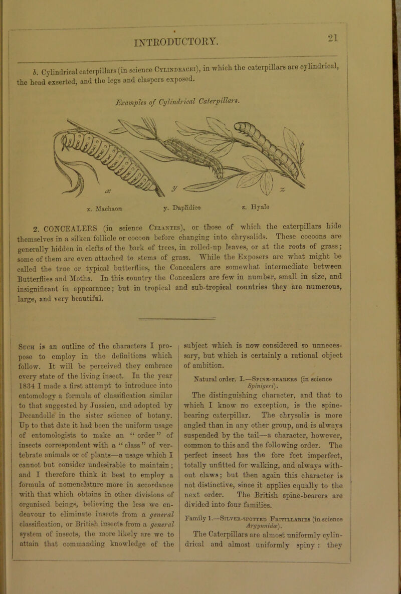 b. Cylindrical caterpillars (in science Cyundbacei), in which the caterpillars are cylindrical, the head exserted, and the logs and claspers exposed. Examples of Cylindrical Caterpillars. 2. CONCEALERS (in science Cexantes), or those of which the caterpillars hide themselves in a silken follicle or cocoon before changing into chrysalids. These cocoons are generally hidden in clefts of the hark of trees, in rolled-up leaves, or at the roots of grass; some of them are even attached to stems of grass. TV liile the Exposers aie what might be called the trne or typical butterflies, the Concealers are somewhat intermediate between Butterflies and TIoths. In this country the Concealers are few in number, small in size, and insignificant in appearance; but in tropical and sub-tropical countries they are numerous, large, and very beautiful. Such is an outline of the characters I pro- pose to employ in the definitions which follow. It will be perceived they embrace every state of the living insect. In the year 1834 I made a first attempt to introduce into entomology a formula of classification similar to that suggested by Jussieu, and adopted by Decandolle in the sister science of botany. Up to that date it had been the uniform usage of entomologists to make an “ order ” of insects correspondent with a “class” of ver- tebrate animals or of plants—a usage which I cannot but consider undesirable to maintain ; and I therefore think it best to employ a formula of nomenclature more in accordance with that which obtains in other divisions of organised beings, believing the less we en- deavour to eliminate insects from a general classification, or British insects from a general system of insects, the more likely are we to attain that commanding knowledge of the subject which is now considered so unneces- sary, but which is certainly a rational object of ambition. Natural order. I.—Spine-bearers (in science Spinigeri). The distinguishing character, and that to which I know no exception, is the spine- bearing caterpillar. The chrysalis is more angled than in any other group, and is always suspended by the tail—a character, however, common to this and the following order. The perfect insect has the fore feet imperfect, totally unfitted for walking, and always with- out claws; but then again this character is not distinctive, since it applies equally to the ! next order. The British spine-bearers are divided into four families. Family 1.—Silver-spotted Fritillaries (in science Argynnidas). The Caterpillars are almost, uniformly cylin- drical and almost uniformly spiny : they