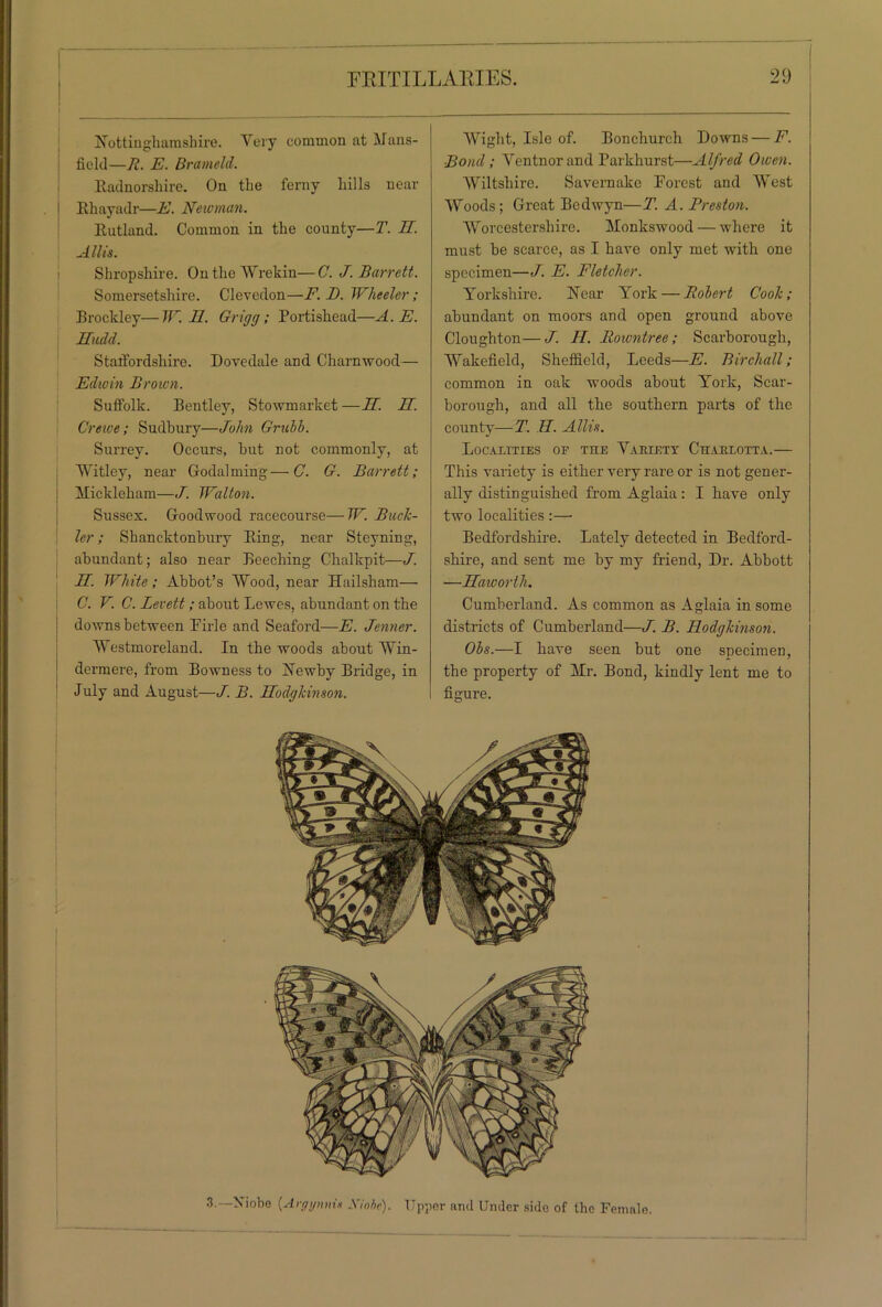 Nottinghamshire. Yery common at Mans- field—R. E. Bra meld. Badnorsliire. On the ferny hills near Bhayadr—E. Newman. Eutland. Common in the county—T. H. Allis. Shropshire. OntheWrekin—C. J. Barrett. Somersetshire. Clevedon—F.B. Wheeler; Brockley—W. II. Grigg; Portishead—A. E. Jhidd. Staffordshire. Dovedale and Cham-wood— Edwin Brown. Suffolk. Bentley, Stowmarket —H. IT. Crewe; Sudbury—John Grubb. Surrey. Occurs, hut not commonly, at Witley, near Godaiming—C. G. Barrett; Mickleham—J. Walton. Sussex. Goodwood racecourse—W. Buck- ler ; Shancktonbury Bing, near Steyning, abundant; also near Beeching Chalkpit—-J. H. White; Abbot’s Wood, near Hailsham— C. V. C. Levett; about Lewes, abundant on the downs between Pirle and Seaford—E. Jenner. Westmoreland. In the woods about Win- dermere, from Bowness to Newby Bridge, in July and August—J. B. Hodgkinson. Wight, Isle of. Bonchurch Downs — F. ■Bond; Ventnorand Parkhurst—Alfred Owen. Wiltshire. Savernake Porcst and West Woods ; Great Bedwyn—T. A. Preston. Worcestershire. Monkswood — where it must be scarce, as I have only met with one specimen—J. E. Fletcher. Yorkshire. Near York — Robert Cook; abundant on moors and open ground above Cloughton—J. II. Rowntree; Scarborough, Wakefield, Sheffield, Leeds—E. Birchall; common in oak woods about York, Scar- borough, and all the southern parts of the county—T. H. Allis. Localities or the Variety Charlotta.— This variety is either very rare or is not gener- ally distinguished from Aglaia: I have only two localities:— Bedfordshire. Lately detected in Bedford- shire, and sent me by my friend, Dr. Abbott —Haworth. Cumberland. As common as Aglaia in some districts of Cumberland—J. B. FLodgkinson. Obs.—I have seen but one specimen, the property of Mr. Bond, kindly lent me to figure.