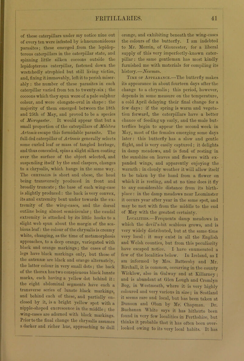 of these caterpillars under my notice nine out of every teu were infested by ichneumonideous parasites; these emerged .from the lepidop- terous caterpillars in the caterpillar state, and spinning little silken cocoons outside the lepidopterous caterpillar, fastened down the wretchedly atrophied but still living victim, and, fixing it immovably, left it to perish miser- ably : the number of these parasites in each caterpillar varied from ten to twenty-six ; the cocoons which they spun were of a pale sulphur colour, and were elongate-oval in shape : the majority of them emerged between the 18th and 25th of May, and proved to be a species of Microgaster. It would appear that but a small proportion of the caterpillars of Melikva Artemis escape this formidable parasite. The full-fed caterpillar of Artemis generally selects some curled leaf or mass of tangled herbage, and thus concealed, spins a slight silken coating over the surface of the object selected, and suspending itself by the anal claspers, changes to a chrysalis, which hangs in the same way. The chrysalis is short and obese, the head being transversely produced in front and broadly truncate; the base of each wing-case is slightly produced: the back is very convex, its anal extremity bent under towards the ex- tremity of the wing-cases, and the dorsal outline being almost semicircular ; the caudal extremity is attached by its little hooks to a slight web spun about the margin of the sca- bious leaf: the colour of the chrysalis is creamy white, changing, as the time of metamorphosis approaches, to a deep orange, variegated with black and orange markings; the cases of the legs have black markings only, but those of the antenna; are black and orange alternately, the latter colour in very small dots ; the back of the thorax has two conspicuous black lunate marks, each having a yellow dot behind it: the eight abdominal segments have each a transverse series of lunate black markings, and behind each of these, and partially en- closed by it, is a bright yellow spot with a nipple-shaped excrescence in the middle ; the wing-cases are adorned with black markings. Prior to the final change the chrysalis assumes a darker and richer hue, approaching to dull orange, and exhibiting beneath the wing-cases the colours of the butterfly. I am indebted to Mr. Merrin, of Gloucester, for a liberal supply of this very imperfectly-known cater- pillar : the same gentleman has most kindly furnished me with materials for compiling its history.—Newman. Time of Appearance.—The butterfly makes its appearance in about fourteen days after the change to a chrysalis; this period, however, depends in some measure on the temperature, a cold April delaying their final change for a few days : if the spring is warm and vegeta- tion forward, the caterpillars have a better chance of feeding up early, and the-male but- terflies begin to appear the second week in May, most of the females emerging some days later : this butterfly has a slow and gentle flight, and is very easily captured; it delights in damp meadows, and is fond of resting in the sunshine on leaves and flowers with ex- panded wings, and apparently enjoying the warmth : in cloudy weather it will allow itself to be taken by the hand from a flower on which it is resting, and at no time does it fly to any considerable distance from its birth- place: in the damp meadows near Leominster it occurs year after year in the same spot, and may be met with from the middle to the end of May with the greatest certainty. Localities.—Frequents damp meadows in which the devil’s-bit scabious grows, and is very widely distributed, but at the same time very local: it may exist in all the English and Welsh counties, but from this peculiarity have escaped notice. I have enumerated a few of the localities below. In Ireland, as I am informed by Mrs. Battersby and Mr. Birchall, it is common, occurring in the county Wicklow, also in Galway and at Killarney ; and is abundant at Glen Lough and Cromlyn Bog, in Westmeath, Avhere it is very highly coloured and very various in size; in Scotland it seems rare and local, but has been taken at Dunoon and Oban by Mr. Chapman. Dr. Buchanan W liite says it has hitherto been found in very few localities in Perthshire, but thinks it probable that it has often been over- looked owing to its very local habits. It has