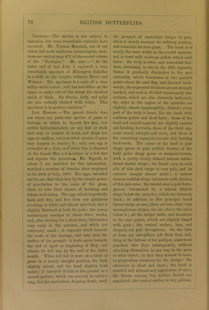 Varieties.—The species is not subject to variation, but some remarkable varieties have occurred. Mr. Thomas Marshall, one of our oldest and most assiduous entomologists, men- tions one such at page 471 of the second volume of the “Zoologist.” He says:—“At the latter end of last July I captured a very remarkable specimen of Melanagria Galathea in a field on the heights between Dover and Walmer. The specimen is a male of a clear milky-white colour, and has not either on the upper or under side of the wings the smallest speck of black. Its thorax, body, and palpi are also entirely clothed with white. This specimen is in perfect condition.” Life History.—The parent female does not select any particular species of grass or herbage on which to deposit her egg, but settles indiscriminately on any leaf or stalk that may he nearest at hand, and drops her eggs at random, careless what species of grass may happen to receive it: only one egg is extruded at a time, and when this is disposed of, the female flics a few inches or a few feet and repeats the operatiorU Mr. Bignell, to whom I am indebted for this information, watched a numbor of females thus employed on the 26th of July, 1869. The eggs, extruded one by one, find their way by the simple power of gravitation to the roots of the grass, there to take their chance of hatching and future well-doing. The egg, which is perfectly hard and dry, and free from any glutinous covering, is white and almost spherical, but is slightly flattened at both its poles: the young caterpillar emerges in about three weeks, and, after feeding for a short time, hybernates very early in the autumn, and while yet extremely small : it conceals itself towards the roots of the herbage, and very near the surface of the ground : it feeds again towards the end of April or beginning of May, and attains its full size by the end of the latter month. When full fed it rests on a blade of grass in a nearly straight position, the back slightly raised, and the head slightly bent under; if annoyed it falls to the ground in a curved posture, which can scarcely be called a ring, but lies motionless, feigning death, until the prospect of immediate danger is past, when it slowly resumes its ordinary position, and reascends its food-plant. The head is of nearly the same width as the second segment, and is beset with scabrous points which emit hairs : the body is obese and somewhat fusi- form, increasing in size to the fifth segment, thence it gradually diminishes to the anal extremity, which terminates in two parallel points above the anal flap, and directed back- wards ; the segmental divisions are not strongly marked, and each is divided transversely into sections, which are also obscurely indicated; the sides in the region of the spiracles are slightly, almost imperceptibly, dilated; every part of the body is beset, like the head, with scabrous points and short hairs : those of the head and second segment are slightly arcuate and bending forwards, those of the third seg- ment nearly straight and erect, and those of the remaining segments arcuate and bending backwards. The colour of the head is pale dingy green or pale reddish browu; of the body paler dingy green or wainscot-brown, with a pretty clearly defined narrow medio- dorsal darker stripe ; the dorsal area on each side of this dark stripe is very pale, and its exterior margin almost white ; a narrow sinuous reddish stripe intersects ea<5h division of this pale area ; the lateral area is pale ferru- ginous, intersected by a narrow whitish stripe below the spiracles, which are intensely black; in addition to this principal broad lateral stripe or area, there are two other very inconspicuous stripes, the one above, the other below it; all the stripes unite, and terminate in the anal points, which are slightly tinged with pink ; the ventral surface, legs, and claspers, are pale ferruginous. On the 14th of June my caterpillars left their food, and, lying at the bottom of the gallipot, underwent pupation two days subsequently, without attaching themselves in any way to the grass or other object; in fact they seemed to make no preparation whatever for the change : the chrysalis is short and obese ; the head is rounded and without any appearance of ears; the thorax convex, but neither keeled nor angulat.ed ; the ventral surface is very gibbosc,