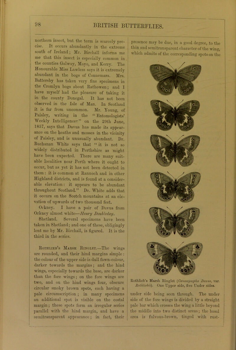 northern insect, but the term is scarcely pre- cise. It occurs abundantly in the extreme south of Ireland; Mr. Birchall informs me me that this insect is especially common in the counties Galway, Mayo, and Kerry. The Honourable Miss Lawless says it is extremely abundant in the bogs of Connemara. Mrs. Battersby has taken very fine specimens in the Cromlyn bogs about Kathowen; and I have myself had the pleasure of taking it in the county Donegal. It has not been observed in the Isle of Man. In Scotland it is far from uncommon. Mr. Young, of Paisley, writing in the “ Entomologists’ Weekly Intelligencer” on the 29th June, 185/, says that Davus has made its appear- ance on the heaths and mosses in the vicinity of Paisley, and is unusually abundant. Dr. Buchanan White says that “ it is not so widely distributed in Perthshire as might have been expected. There are many suit- able localities near Perth where it ought to occur, but as yet it has not been detected in them: it is common at Rannoch and in other Highland districts, and is found at a consider- able elevation: it appears to be abundant throughout Scotland.” Dr. White adds that it occurs on the Scotch mountains at an ele- vation of upwards of two thousand feet. Orkney. I have a pair of Davus from Orkney almost white—Henry Doubleday. Shetland. Several specimens have been taken in Shetland; and one of these, obligingly lent me by Mr. Birchall, is figured. It is the third in the series. Rothlieb’s Marsh Ringlet.—The wings are rounded, and their hind margins simple: the colour of the upper side is dull fawn-colour, darker towards the margins; and the hind wings, especially towards the base, are darker than the fore wings ; on the fore wings are two, and on the hind wings four, obscure circular smoky brown spots, each having a pale circumscription ; in many specimens an additional spot is visible on the costal margin; these spots form an irregular series parallel Avith the hind margin, and have a semitransparent appearance; in fact, their presence may be due, in a good degree, to the thin and semitransparent character of the wing, Avliich admits of the corresponding spots on the Rothlieb’s Marsh Ringlet (Coinonympha Dnvus, var. Rothliebii). One Upper side, five Under sides. under side being seen through. The under side of the fore wings is divided by a straight pale bar which crosses the wing a little beyond the middle into two distinct areas; the basal area is fulvous-brown, tinged Avith rust-