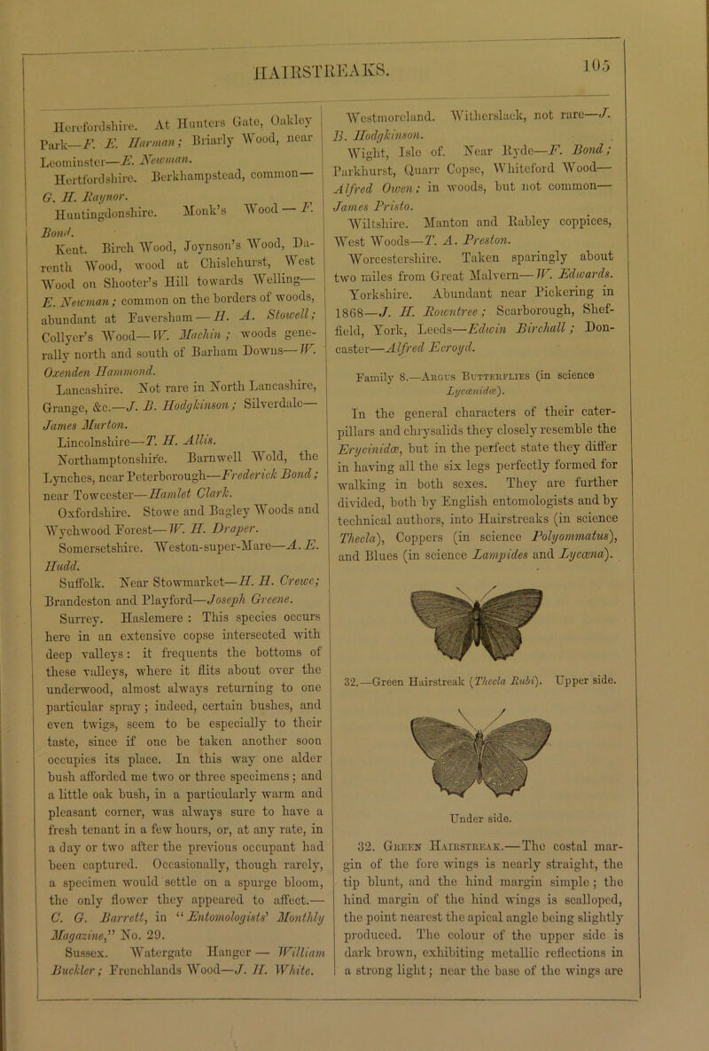 Herefordshire. At Hunters Gate, Oakley Park F. E. Harman ; Briarly Wood, near Leominster—E. Newman. Hertfordshire. Berkhampstead, common- er. II. Raynor. Huntingdonshire. Monk’s A\ ood F. Bond. Kent. Birch Wood, Joynson’s Wood, Da- renth Wood, wood at Chislchurst, West Wood on Shooter’s Hill towards Welling— E. Newman; common on the borders ot woods, abundant at Faversham— II A. Stowell; Collyer’s Wood— W. Machin ; woods gene- rally north and south of Barham Downs— IF. Oxenden Hammond. Lancashire. .Xot rare in X ortli Lancashire, Grange, &c.—I• B. Ilodykinson; Silveidalc James Murton. Lincolnshire—T. II. Allis. Northamptonshire. Barnwell Wold, the Lynches, near Peterborough—Frederick Bond; near Towcester—Hamlet Clark. Oxfordshire. Stowe and Bagley Woods and Wychwood Forest—TF. II. Draper. Somersetshire. Weston-super-Mare—A. E. Hudd. Suffolk. Near Stowmarket—II. II Crewe; Brandeston and Playford—Joseph Greene. Surrey. Haslemere : This species occurs here in an extensive copse intersected with deep valleys: it frequents the bottoms of these valleys, where it flits about over the underwood, almost always returning to one particular spray ; indeed, certain bushes, and even twigs, seem to be especially to their taste, since if oue be taken another soon occupies its place. In this way one alder bush afforded me two or three specimens ; and a little oak bush, in a particularly warm and pleasant corner, was always sure to have a fresh tenant in a few hours, or, at any rate, in a day or two after the previous occupant had been captured. Occasionally, though rarely, a specimen would settle on a spurge bloom, the only flower they appeared to affect.— C. G. Barrett, in “Entomologists' Monthly Magazine,” No. 29. Sussex. Watergate Hanger — William Buckler; Frenchlands Wood—J. II. White. Westmoreland. Witlierslack, not rare—/. B. Hodgkinson. Wight, Isle of. Near Hyde—F. Bond; Parkhurst, Q,uarr Copse, Wliiteford Wood— Alfred Owen; in woods, but not common— James Pristo. Wiltshire. Manton and Habley coppices, West Woods—T. A. Preston. Worcestershire. Taken sparingly about two miles from Great Malvern—W. Edwards. Yorkshire. Abundant near Pickering in 1868—J. H. Rowntree; Scarborough, Shef- field, York, Leeds—Edwin Birchall; Don- caster—Alfred Ecroyd. Family 8.—Argus Butterflies (in science Lycaenidce). In the general characters of their cater- pillars and chrysalids they closely resemble the Erycinidce, but in the perfect state they differ in having all the six legs perfectly formed for walking in both sexes. They are further divided, both by English entomologists and by technical authors, into Hairstreaks (in science Theda), Coppers (in science Folyomniatus), and Blues (in science Lampides and Lycama). 32.—Green Hairstreak (Thccla Rubi). Upper side. Under side. 32. Green Hairstreak.—The costal mar- gin of the fore wings is nearly straight, the tip blunt, and the hind margin simple; the hind margin of the hind wings is scalloped, the point nearest the apical angle being slightly produced. The colour of the upper side is dark brown, exhibiting metallic reflections in a strong light; near the base of the wings are