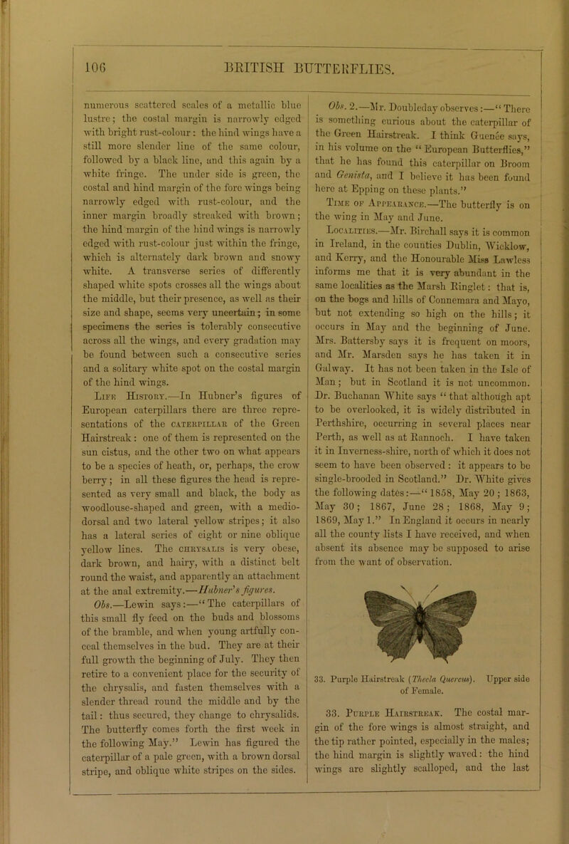 numerous scattered scales of a metallic blue lustre; the costal margin is narrowly edged with blight rust-colour : the hind wings have a still more slender liue of the same colour, followed by a black line, and this again by a white fringe. The under side is green, the costal and hind margin of the fore wings being narrowly edged with rust-colour, and the inner margin broadly streaked with brown; the hind margin of the hind wings is narrowly edged with rust-colour just within the fringe, which is alternately dark brown and snowy white. A transverse series of differently shaped white spots crosses all the wings about the middle, but their presence, as well as their size and shape, seems very uncertain; in some specimens the series is tolerably consecutive across all the wings, and every gradation may be found between such a consecutive series and a solitary white spot on the costal margin of the hind wings. Life History.—In Hubner’s figures of European caterpillars there are three repre- sentations of the Caterpillar of the Green Hairstreak: one of them is represented on the sun cistus, and the other two on what appears to be a species of heath, or, perhaps, the crow berry; in all these figures the head is repre- sented as very small and black, the body as woodlouse-shaped and green, with a medio- dorsal and two lateral yellow stripes; it also has a lateral series of eight or nine oblique yellow lines. The chrysalis is very obese, dark brown, and hairy, with a distinct belt round the waist, and apparently an attachment at the anal extremity.—Hubner's figures. Obs.—Lewin says:—“The caterpillars of this small fly feed on the buds and blossoms of the bramble, and when young artfully con- ceal themselves in the bud. They are at their full growth the beginning of July. They then retire to a convenient place for the security of the chrysalis, and fasten themselves with a slender thread round the middle and by the tail: thus secured, they change to chrysalids. The butterfly comes forth the first week in the following May.” Lewin has figured the caterpillar of a pale green, with a brown dorsal stripe, and oblique white stripes on the sides. Obs. 2.—iir. Doubleday observes:—“ There is something curious about the caterpillar of the Green Hairstreak. I think Gucnee says, in his volume on the “ European Butterflies,” that he has found this caterpillar on Broom and Genista, and I believe it has been found here at Epping on these plants.” Time of Appearance.—The butterfly is on the wing in May and June. Localities.—Mr. Birchall says it is common in Ireland, in the counties Dublin, Wicklow, and Kerry, and the Honourable Miss Lawless ; informs me that it is very abundant in the same localities as the Marsh Kinglet: that is, on the bogs and hills of Connemara and Mayo, but not extending so high on the hills ; it occurs in May and the beginning of June. Mrs. Battersby says it is frequent on moors, and Mr. Marsden says he has taken it in Galway. It has not been taken in the Isle of Man ; but in Scotland it is net uncommon. Dr. Buchanan White says “ that although apt to be overlooked, it is widely distributed in Perthshire, occurring in several places near Perth, as well as at Kannoch. I have taken it in Inverness-shire, north of which it does not seem to have been observed : it appears to be single-brooded in Scotland.” Dr. White gives the following dates:—^1858, May 20 ; 1863, May 30; 1867, June 28; 1868, May 9; 1869, May 1.” In England it occurs in nearly all the county lists I have received, and when absent its absence may be supposed to arise from the want of observation. 33. Purple Hairstreak {Thccla Quereus). Upper side of Female. 33. Purple Hairstreak. The costal mar- gin of the fore wings is almost straight, and the tip rather pointed, especially in the males; the hind margin is slightly waved: the hind wings are slightly scalloped, and the last