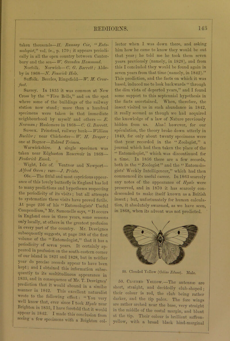 taken thousands—II. Ramsay Cox, “Ento- mologist” vol. iv., p. 179; it appears periodi- cally in nil the open country between Canter- bury and the sea— W. Oxenden Hammond. Norfolk. Norwich—C. G. Barrett; Alde- hy in 18G8—N. Fenwick ITelc. Suffolk. Beccles, Ringsfield—W. M. Crow- foot. Surrey. In 1835 it was common at New Cross by the “Five Bells,” and on the spot where some of the buildings of the railway station now stand; more than a hundred specimens were taken in that immediate neighbourhood by myself and others — E. Neioman; Haslemere in 1868—C. G. Barrett. Sussex. Prinstead, railway bank— William Buckler; near Chichester—W. II. Draper; one at Bognor—Boland Trimen. Warwickshire. A single specimen was taken near Edgbaston Reservoir in 1868— Frederick Enock. Wight, Isle of. Yentnor and Newport— Alfred Owen; rare—.7. Pristo. Obs.—The fitful and most capricious appear- ance ot this lovely butterfly in England has led to many predictions and hypotheses respecting the periodicity of its visits; but all attempts to systematize these visits have proved futile. At page 236 of his “ Entomologists’ Useful Compendium,” Mr. Samouelle says, “It occurs in England once in three years, some seasons only locally, at others in the greatest profusion in eveiy part of the country. Mr. Dcsvignes subsequently suggests, at page 388 of the first volume of the “Entomologist,” that it has a periodicity of seven years. It certainly ap- pealed in profusion on the south-eastern corner of our island in 1821 and 1828, but in neither year do precise reconls appear to have been kept; and I obtained this information subse- quently to its multitudinous appearance 1835, and in consequence of Mr. T. Desvign prediction that it would abound in a simil manner in 1842. This excellent natural wrote to the following effect: “You ve well know that, ever since I took If yah nc Brighton in 1835, I have foretold that it won appear in 1842. I made this conclusion fre seeing a few specimens with a Brighton ci lector when I was down there, and asking him how he came to know they would be out that year; he told me he took them seven years previously (namely, in 1828), and from this I concluded they would be found again in seven years from that time (namely, in 1842).” This prediction, and the facts on which it was based, induced me to look backwards “ through the dim vista of departed years,” and I found some support to this septennial hypothesis in the facts ascertained. When, therefore, the insect visited us in such abundance in 1842, it really seemed as though we had acquired the knowledge of a law of Nature previously hidden from us. Alas! however, for our speculation, the theory broke down utterly in 1849, for only about twenty specimens were that year recorded in the “ Zoologist,” a journal which had then taken the place of the “ Entomologist,” which was discontinued for a time. In 1856 there are a few records, both in the “ Zoologist” and the “ Entomolo- gists’ Weekly Intelligencer,” which had then commenced its useful career. In 1863 scarcely any notes of the appearance of Hyale were preserved, and in 1870 it has scarcely con- descended to make itself known as a British insect; but, unfortunately for human calcula- tion, it absolutely swarmed, as we have seen, in 1868, when its advent was not predicted. 50. Clouded Yellow.—The antennm are shoit, straight, and decidedlv club-shaped; their colour is red, the club being rather darker, and the tip paler. The fore wings tile latlici niched near the base, very straight in the middle ot the costal margin, and blunt at the tip. Their colour is brilliant saffron- yellow, with a broad black hind-marginal