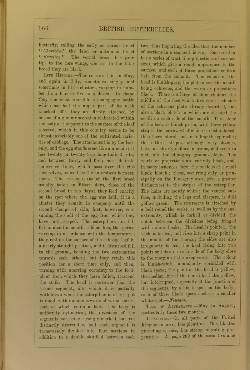 butterfly, calling the early or vernal brood “ Char idea,” the later or autumnal brood i “ Brassicce.” The vernal brood has gray tips to the fore wings, whereas in the later brood they are black. Life History.—The egos are laid in May, and again in July, sometimes singly and sometimes in little clusters, varying in num- ber from four or five to a dozen. In shape they somewhat resemble a champagne bottle which has had the upper part of its neck knocked off; they are firmly attached by means of a gummy secretion elaborated within the body of the parent to the surface of the leaf selected, which in this country seems to be almost invariably one of th6 cultivated varie- ties of cabbage. The attachment is by the base only, and the egg stands erect like a ninepin ; it has twenty or twenty-two longitudinal ribs, and between thirty and forty most delicate transverse lines, which pass over the ribs themselves, as well as the interstices between them. The caterpillars of the first brood usually hatch in fifteen days, those of the second brood in ten days: they feed exactly j on the spot where the egg was laid; if in a cluster they remain in company until the second change of skin, first, however, con- suming the shell of the egg from which they I have just escaped. The caterpillars are full fed in about a month, seldom less, the period varying in accordance with the temperature; they rest on the surface of the cabbage leaf in a nearly straight position, and if disturbed fall to the ground, bending the two extremities towards each other ; but they retain this position for a short time only, and then, turning with unerring certainty to the food- plant from which they have fallen, reascend 1 the stalk. The head is narrower than the } second segment, into which it is partially withdrawn when the caterpillar is at rest; it is rough with numerous warts of various sizes, each of which emits a hair. The body is uniformly cylindrical, the divisions of the segments not being strongly marked, but yet distinctly discernible, and each segment is transversely divided into four sections in addition to a double skinfold between each two, thus imparting the idea that the number of sections in a segment is six. Each section has a scries of wart-like projections of various sizes, which give a rough appearance to the surface, and each of these projections emits a hair from the summit. The colour of the head is bluish-gray, the plate above the mouth being ochreous, and the warts or projections black. There is a large black mark down the middle of the face which divides on each side of the ochreous plate already described, and also a black blotch in which are situated the ocelli on each side of the mouth. The colour of the body is bluish green, with three yellow stripes, the narrowest of which is medio-dorsal, the others lateral, and including the spiracles; these three stripes, although very obvious, have no clearly-defined margins, and seem to melt into the blue-gray ground-colour. The warts or projections are entirely black, and, in many instances, form the nucleus of a small black blotch ; these, occurring only or prin- cipally on the blue-gray area, give a greater distinctness to the stripes of the caterpillar. The hairs are mostly white; the ventral sur- face, including the legs and claspers, is dull yellow-green. The chrysalis is attached by a belt round the waist, as well as by the anal extremity, which is forked or divided, the notch between the divisions being fringed with minute hooks. The head is pointed; the back is keeled, and rises into a sharp point in the middle of the thorax; the sides are also irregularly keeled, the keel rising into two points or lobes on each side of the body close to the margin of the wing-cases. The colour is bluish-white, abundantly sprinkled with black spots; the point of the head is yellow, the median line of the dorsal keel also yellow, but interrupted, especially at the junction of the segments, by a black spot on the body; each of these black spots encloses a smaller white spot.—Newman. Time op Appearance.—May to August; particularly these two months. Localities.—In all parts of the United Kingdom more or less plentiful. I bis, like the preceding species, has strong migrating pro- pensities. At page 289 of the second volume