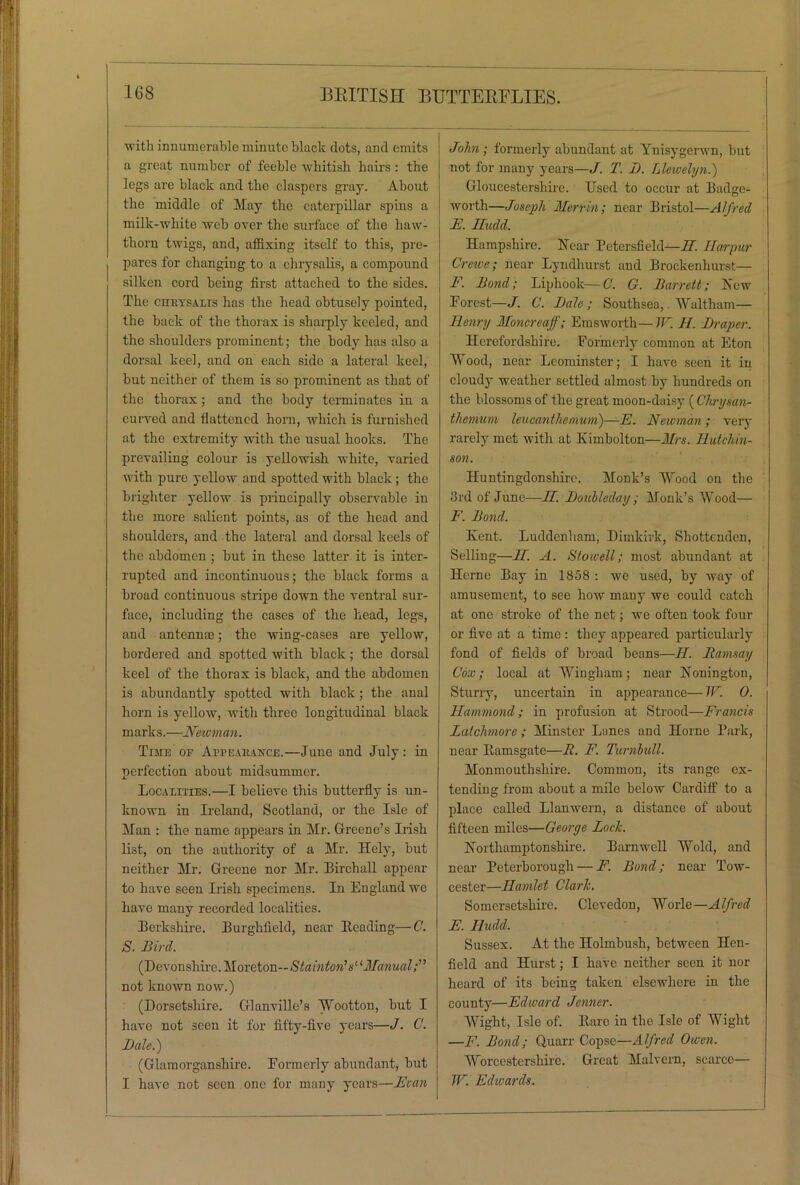 I with innumerable minute black dots, and emits a great number of feeble whitish hairs : the legs are black and the claspcrs gray. About the middle of May the caterpillar spins a milk-white web over the surface of the haw- thorn twigs, and, affixing itself to this, pre- pares for changing to a chrysalis, a compound silken cord beiug first attached to the sides. The chrysalis has the head obtusely pointed, the back of the thorax is sharply keeled, and the shoulders prominent; the body has also a doi’sal keel, and on each side a lateral keel, but neither of them is so prominent as that of the thorax; and the body terminates in a curved and flattened hom, which is furnished at the extremity with the usual hooks. The prevailing colour is yellowish white, varied with pure yellow and spotted with black; the brighter yellow is principally observable in the more salient points, as of the head and shoulders, and the lateral and dorsal keels of the abdomen ; but in these latter it is inter- rupted and incontinuous; the black forms a broad continuous stripe down the ventral sur- face, including the cases of the head, legs, and antennae; the wing-cases are yellow, bordered and spotted with black ; the dorsal keel of the thorax is black, and the abdomen is abundantly spotted with black ; the anal horn is yellow, with three longitudinal black marks.—Newman. Time of Appeaiiaxce.—June and July: in perfection about midsummer. Localities.—I believe this butterfly is un- known in Ireland, Scotland, or the Isle of Man : the name appears in Mr. Greene’s Irish list, on the authority of a Mr. Hely, but neither Mr. Greene nor Mr. Birchall appear to have seen Irish specimens. In England we have many recorded localities. Berkshire. Burghfield, near Beading—C. S. Bird. (Devonshire, StaintoF su Manual;” not known now.) (Dorsetshire. Glanville’s Wootton, but I have not seen it for fifty-five years—J. C. Bale.) (Glamorganshire. Formerly abundant, but I have not seen one for many years—Bean John; formerly abundant at Ynisygerwn, but not for many years—J. T. B. Llewelyn.) Gloucestershire. Used to occur at Badge- worth—Joseph Merrin ; near Bristol—Alfred E. Sudd. Hampshire. Hear Petersfield—II. Harpur Crewe; near Lyndhurst and Brockenhurst— F. Bond; Liphoolc—C. G. Barrett; Hew Forest—J. C. Bale; Southsea, Waltham— Henry Moncreaff; Emsworth—W. H. Braper. Herefordshire. Formerly common at Eton Wood, near Leominster; I have seen it in cloudy weather settled almost by hundreds on the blossoms of the great moon-daisy ( Chrysan- themum leucantliemum)—E. Newman; very rarely met with at Kimbolton—Mrs. Hutchin- son. Huntingdonshire. Monk’s Wood on the 3rd of June—II. Boubleday; Monk’s Wood— F. Bond. Kent. Luddenham, Dimkirk, Shottcnden, Selling—II. A. Stowell; most abundant at Herne Bay in 1358 : we used, by way of amusement, to see how many we could catch at one stroke of the net; we often took four or five at a time : they appeared particularly fond of fields of broad beans—II. Ramsay Cox; local at Wingham; near Bonington, Sturry, uncertain in appearance—W. 0. Hammond; in profusion at Strood—Francis Latclimore ; Minster Lanes and Horne Park, near Bamsgate—R. F. Turnbull. Monmouthshire. Common, its range ex- tending from about a mile below Cardiff to a place called Llanwern, a distance of about fifteen miles—George Lock. Borthamptonshire. Barnwell Wold, and near Peterborough — F. Bond; near Tow- cester—Ilamlet Clark. Somersetshire. Clevedon, Worle—Alfred E. Iludd, Sussex. At the Holmbush, between Hen- field and Hurst; I have neither seen it nor heard of its being taken elsewhere in the county—Edward Jenner. Wight, Isle of. Bare in the Isle of Wight —F. Bond; Quarr Copse—Alfred Owen. Worcestershire. Great Malvern, scarce— W. Edwards.