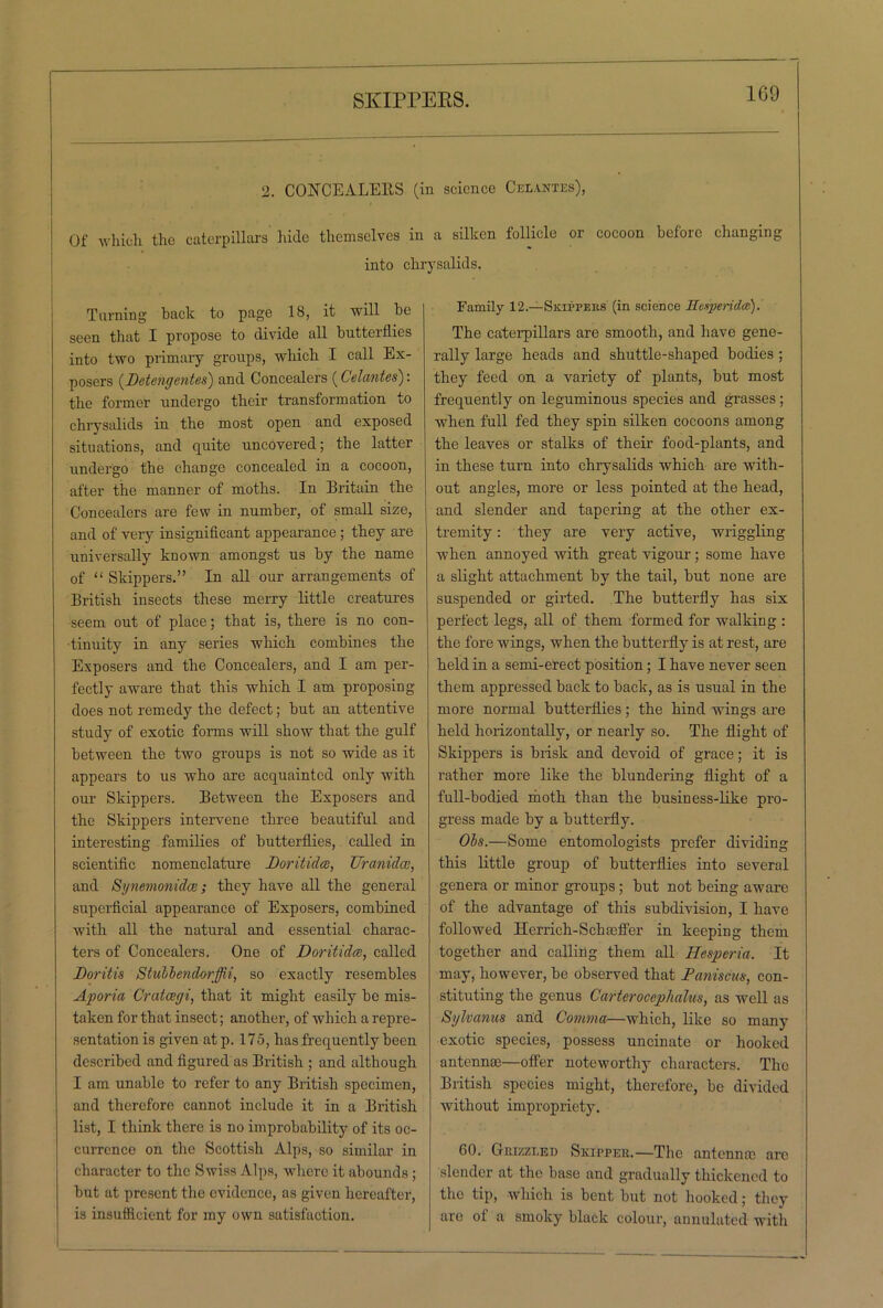 SIvIPPEBS. 2. CONCEALERS (in science Celantes), Of which the caterpillars hide themselves in a silken follicle or cocoon before changing into chrysalids. Turning back to page 18, it will be seen that I propose to divide all butterflies into two primary groups, which I call Ex- posers (Detengentes) and Concealers (Celantes): the former undergo their transformation to chrysalids in the most open and exposed situations, and quite uncovered; the latter undergo the change concealed in a cocoon, after the manner of moths. In Britain the Concealers are few in number, of small size, and of very insignificant appearance; they are universally known amongst us by the name of “ Skippers.” In all our arrangements of British insects these merry little creatures seem out of place; that is, there is no con- tinuity in any series which combines the Exposers and the Concealers, and I am per- fectly aware that this which I am proposing does not remedy the defect; but an attentive study of exotic forms will show that the gulf between the two groups is not so wide as it appears to us who are acquainted only with our Skippers. Between the Exposers and the Skippers intervene three beautiful and interesting families of butterflies, called in scientific nomenclature Doritidce, Vranidce, and Synemonidce; they have all the general superficial appearance of Exposers, combined with all the natural and essential charac- ters of Concealers, One of Doritidce, called Doritis Stullendorffii, so exactly resembles Aporia Cratcegi, that it might easily be mis- taken for that insect; another, of which a repre- sentation is given at p. 175, has frequently been described and figured as British ; and although I am unable to refer to any British specimen, and therefore cannot include it in a British list, I think there is no improbability of its oc- currence on the Scottish Alps, so similar in character to the Swiss Alps, where it abounds ; but at present the evidence, as given hereafter, is insufficient for my own satisfaction. Family 12.—Skippers (in science Hesperidce). The caterpillars are smooth, and have gene- rally large heads and shuttle-shaped bodies ; they feed on a variety of plants, but most frequently on leguminous species and grasses ; when full fed they spin silken cocoons among the leaves or stalks of their food-plants, and in these turn into chrysalids which are with- out angles, more or less pointed at the head, and slender and tapering at the other ex- tremity : they are very active, wriggling when annoyed with great vigour; some have a slight attachment by the tail, but none are suspended or girted. The butterfly has six perfect legs, all of them formed for walking : the fore wings, when the butterfly is at rest, are held in a semi-erect position; I have never seen them appressed back to back, as is usual in the more normal butterflies; the hind wings are held horizontally, or nearly so. The flight of Skippers is brisk and devoid of grace; it is rather more like the blundering flight of a full-bodied moth than the business-like pro- gress made by a butterfly. Obs.—Some entomologists prefer dividing this little group of butterflies into several genera or minor groups ; but not being aware of the advantage of this subdivision, I have followed Ilerrich-Schafter in keeping them together and calling them all Hesperia. It may, however, be observed that Faniscus, con- stituting- the genus Carterocephalus, as well as Sylvanus and Comma—which, like so many exotic species, possess uncinate or hooked antennae—offer noteworthy characters. The British species might, therefore, be divided without impropriety. 60. Grizzled Skipper.—The antennae arc slender at the base and gradually thickened to the tip, which is bent but not hooked; they are of a smoky black colour, annulated with