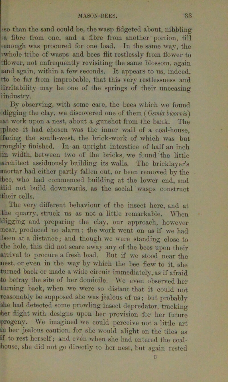 -so than the sand could be, the wasp fidgeted about, nibbling a fibre from one, and a fibre from another portion, till • enough was procured for one load. In the same way, the •whole tribe of wasps and bees flit restlessly from flower to tflower, not unfrequently revisiting the same blossom, again land again, within a few seconds. It appears to us, indeed, 'to be far from improbable, that this very restlessness and •irritability may be one of the springs of their unceasing i industry. By observing, with some care, the bees which we found digging the clay, we discovered one of them ( Gsmia licornis) uat work upon a nest, about a gunshot from the bank. The .place it had chosen was the inner wall of a coal-house, facing the south-west, the brick-work of which was but rroughly finished. In an upright interstice of half an inch in width, between two of the bricks, we found'the little architect assiduously building its walls. The bricklayer’s mortar had either partly fallen out, or been removed by the ibee, who had commenced building at the lower end, and Hid not build downwards, as the social wasps construct ttheir cells. The very different behaviour of the insect here, and at the quarry, struck us as not a little remarkable. When digging and preparing the clay, our approach, however near, produced no alarm; the work Avent on as if Ave had been at a distance; and though avc Avere standing close to the hole, this did not scare away any of the bees upon then- ar-rival to procure a fresh load. But if Ave stood near the nest, or even in the way by Avhich the bee flew to it, she turned back or made a Avide circuit immediately, as if afraid to betray the site of her domicile. We even observed her turning back, when Ave were so distant that it could not reasonably bo supposed she Avas jealous of us; but probably she had detected some prowling insect depredator, tracking her flight Avith designs upon her provision for her future progeny. We imagined Ave could perceive not a little art in her jealous caution, for she would alight on the tiles as if to rest herself; and CA'en ay hen she had entered the coal- house, she did not go directly to her nest, but again rested