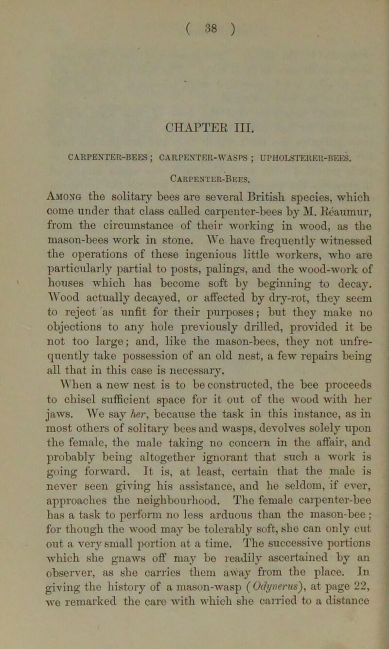 CHAPTER III. CARPENTER-BEES ; CARPENTER-WAS PS ; UPHOLSTERER-BEES. Carpenter-Bees. Among the solitary bees are several British species, which come under that class called carpenter-bees by M. Reaumur, from the circumstance of their working in wood, as the mason-bees work in stone. We have frequently witnessed the operations of these ingenious little workers, who are particularly partial to posts, palings, and the wood-work of houses which has become soft by beginning to decay. AVood actually decayed, or affected by dry-rot, they seem to reject as unfit for their purposes; but they make no objections to any hole previously drilled, provided it be not too large; and, like the mason-bees, they not unfre- quently take possession of an old nest, a few repairs being all that in this case is necessary. AVhen a new nest is to be constructed, the bee proceeds to chisel sufficient space for it out of the wood with her jaws. AVe say her, because the task in this instance, as in most others of solitary bees and wasps, devolves solely upon the female, the male taking no concern in the affair, and probably being altogether ignorant that such a work is going forward. It is, at least, certain that the male is never seen giving his assistance, and he seldom, if ever, approaches the neighbourhood. The female carpenter-bee lias a task to perform no less arduous than the mason-bee; for though the wood may be tolerably soft, she can only cut out a very small portion at a time. The successive portions which she gnaws off may bo readily ascertained by an observer, as she carries them away from the place. In giving the history of a mason-wasp ( Oclynerus), at page 22, we remarked the care Avith which she carried to a distance