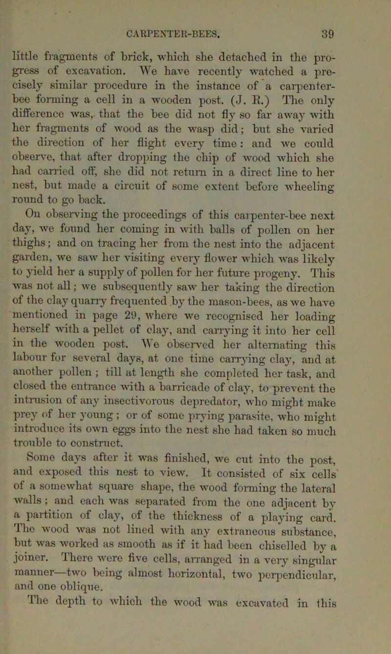 little fragments of brick, which she detached in the pro- gress of excavation. We have recently watched a pre- cisely similar procedure in the instance of a carpenter- bee forming a cell in a -wooden post. (J. E.) The only difference was, that the bee did not fly so far away with her fragments of wood as the wasp did; but she varied the direction of her flight every time: and we could observe, that after dropping the chip of wood which she had carried oft', she did not return in a direct line to her nest, but made a circuit of some extent before wheeling round to go back. On observing the proceedings of this carpenter-bee next day, we found her coming in with balls of pollen on her thighs; mid on tracing her from the nest into the adjacent garden, we saw her visiting every flower which was likely to yield her a supply of pollen for her future progeny. This was not all; we subsequently saw her taking the direction of the clay quarry frequented by the mason-bees, as we have mentioned in page 29, where we recognised her loading herself with a pellet of clay, and carrying it into her cell in the wooden post. Y\ e observed her alternating this labour for several days, at one time carrying clay, and at another pollen ; till at length she completed her task, and closed the entrance with a barricade of clay, to prevent the intrusion of any insectivorous depredator, who might make prey of her young ; or of some prying parasite, who might introduce its own eggs into the nest she had taken so much trouble to construct. Some days after it was finished, we cut into the post, and exposed this nest to view. It consisted of six cells of a somewhat square shape, the wood forming the lateral walls; and each was separated from the one adjacent by a partition of clay, of the thickness of a playing card. I he wood was not lined with any extraneous substance, but was worked as smooth as if it had been chiselled by a joiner. There were five cells, arranged in a very singular manner—two being almost horizontal, two perpendicular, and one oblique. The depth to which the wood was excavated in this