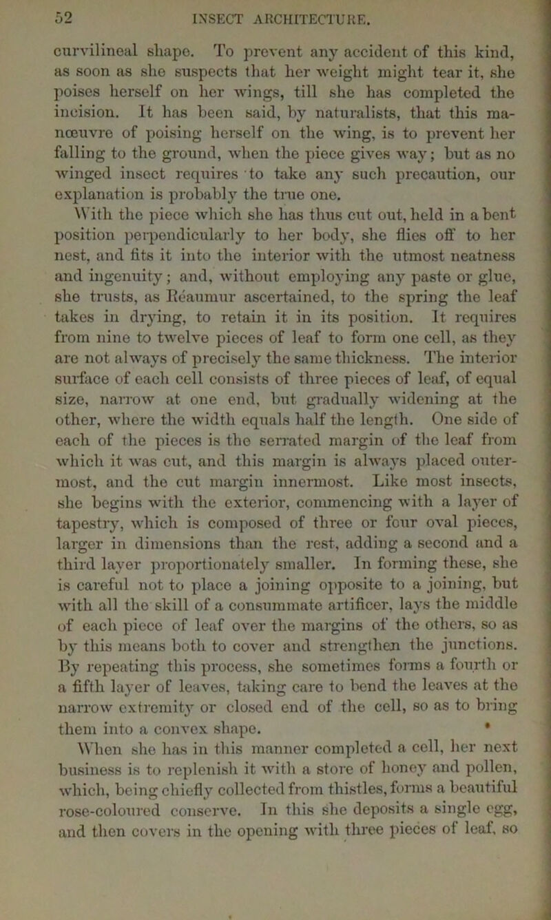 curvilineal shape. To prevent any accident of this kind, as soon as she suspects that her weight might tear it, she poises herself on her wings, till she has completed the incision. It has been said, by naturalists, that this ma- noeuvre of poising herself on the wing, is to prevent her falling to the ground, when the piece gives way; hut as no winged insect requires to take any such precaution, our explanation is probably the true one. With the piece which she has thus cut out, held in a bent position perpendicularly to her body, she flies off to her nest, and fits it into the interior with the utmost neatness and ingenuity; and, without employing any paste or glue, she trusts, as Reaumur ascertained, to the spring the leaf takes in drying, to retain it in its position. It requires from nine to twelve pieces of leaf to form one cell, as they are not always of precisely the same thickness. The interior surface of each cell consists of three pieces of leaf, of equal size, narrow at one end, but gradually widening at the other, where the width equals half the length. One side of each of the pieces is the serrated margin of the leaf from which it was cut, and this margin is always placed outer- most, and the cut margin innermost. Like most insects, she begins with the exterior, commencing with a layer of tapestry, which is composed of three or four oval pieces, larger in dimensions than the rest, adding a second and a third layer proportionately smaller. In forming these, she is careful not to place a joining opposite to a joining, but with all the skill of a consummate artificer, lays the middle of each piece of leaf over the margins of the others, so as by this means both to cover and strengthen the junctions. By repeating this process, she sometimes forms a fourth or a fifth layer of leaves, taking care to bend the leaves at the narrow extremity or closed end of the cell, so as to bring them into a convex shape. • When she has in this manner completed a cell, her next business is to replenish it with a store of honey and pollen, which, being chiefly collected from thistles, forms a beautiful rose-coloured conserve. In this she deposits a single egg, and then covers in the opening with three pieces of leaf, so