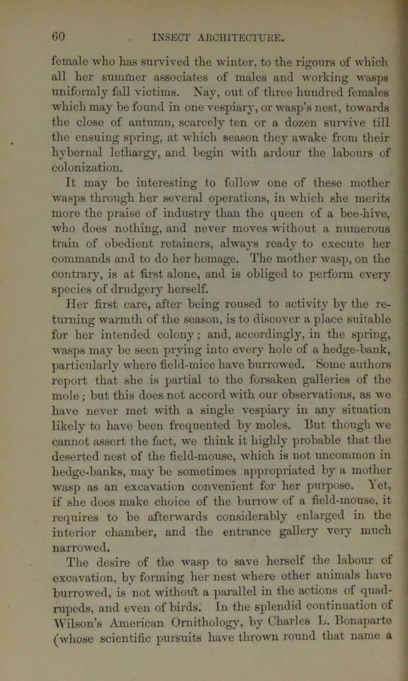 female who has survived the winter, to the rigours of which all her summer associates of males and working wasps uniformly fall victims. Isay, out of three hundred females which may be found in one vespiary, or wasp’s nest, towards the close of autumn, scarcely ten or a dozen survive till the ensuing spring, at which season they awake from their hybernal lethargy, and begin with ardour the labours of colonization. It may be interesting to follow one of these mother wasps through her several operations, in which she merits more the praise of industry than the queen of a bee-liive, who does nothing, and never moves without a numerous train of obedient retainers, always ready to execute her commands and to do her homage. The mother wasp, on the contrary, is at first alone, and is obliged to perform every species of drudgery herself. Her first care, after being roused to activity by the re- turning warmth of the season, is to discover a place suitable for her intended colony; and, accordingly, in the spring, wasps may be seen prying into every hole of a hedge-bank, particularly where field-mice have burrowed. Some authors report that she is partial to the forsaken galleries of the mole; but this does not accord with our observations, as we have never met with a single vespiary in any situation likely to have been frequented by moles. But though we cannot assert the fact, we think it highly probable that, the deserted nest of the field-mouse, which is not uncommon in hedge-banks, may be sometimes appropriated by a mother wasp as an excavation convenient for her purpose. A et, if she does make choice of the burrow of a field-mouse, it requires to bo afterwards considerably enlarged in the interior chamber, and the entrance gallery’ very much narrowed. The desire of the wasp to save herself the labour of excavation, by forming her nest where other animals have burrowed, is not without a parallel in the actions of quad- rupeds, and even of birds. In the splendid continuation of Wilson’s American Ornithology, by Charles L. Bonapario (whose scientific pursuits have thrown round that name a