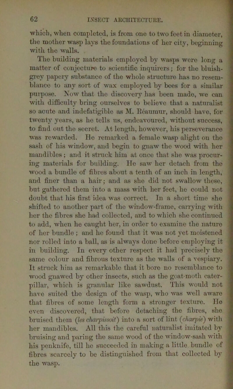 which, when completed, is from one to two feet in diameter, the mother wasp lays the foundations of her city, beginning with the walls. The building materials employed by wasps were long a matter of conjecture to scientific inquirers; for the bluish- grey papery substance of the whole structure has no resem- blance to any sort of wax employed by bees for a similar purpose. Now that the discovery has been made, we can with difficulty bring ourselves to believe that a naturalist so acute and iudefatigible as M. Reaumur, should have, for twenty years, as he tells us, endeavoured, without success, to find out the secret. At length, however, his perseverance was rewarded. He remarked a female wasp alight on the sash of his window, and begin to gnaw the wood with her mandibles ; and it struck him at once that she was procur- ing materials for building. He saw her detach from the wood a bundle of fibres about a tenth of an inch in length, and finer than a hair; and as she did not swallow these, but gathered them into a mass with her feet, he could not doubt that his first idea was correct. In a short time she shifted to another part of the window-frame, carrying with her the fibres she had collected, and to which she continued to add, when he caught her, in order to examine the nature of her bundle ; and he found that it was not yet moistened nor rolled into a ball, as is always done before employing it in building. In every other respect it had precisely the same colour and fibrous texture as the walls of a vespiary. It struck him as remarkable that it bore no resemblance to wood gnawed by other insects, such as the goat-moth cater- pillar, which is granular like sawdust. This would not have suited the design of the wasp, who was well aware that fibres of some length form a stronger texture. lie even discovered, that before detaching the fibres, she bruised them (les charpissoit') into a sort of lint (charpie) with her mandibles. All this the careful naturalist imitated by bruising and paring the same wood of the window-sash with his penknife, till he succeeded in making a little bundle of fibres scarcely to be distinguished from that collected by the wasp.