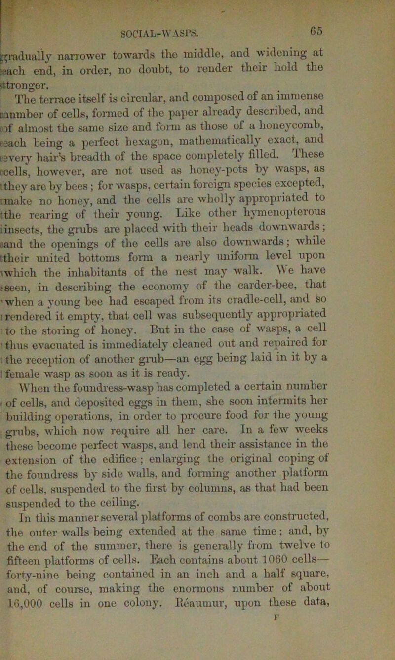 gradually narrower towards the middle, and widening at teach end, in order, no doubt, to render their hold the stronger. The terrace itself is circular, and composed of an immense number of cells, formed of the paper already described, and ,of almost the same size and form as those of a honeycomb, eeach being a perfect hexagon, mathematically exact, and cevery hair's breadth of the space completely filled, these (cells, however, are not used as lioney-pots by wasps, as (they are by bees ; for wasps, certain foreign species excepted, rmakc no honey, and the cells are wholly appropriated to (the rearing of their young. Like other hymenopterous iinsects, the grabs are placed with their heads downwards; ,>and the openings of the cells are also downwards; while (their united bottoms fonn a nearly uniform level upon (which the inhabitants of the nest may walk. \\ e have tseen, in describing the economy of the carder-bee, that ■when a young bee had escaped from its cradle-cell, and so ! rendered it empty, that cell was subsequently appropriated to the storing of honey. But in the case of wasps, a cell thus evacuated is immediately cleaned out and repaired for the reception of another grab—an egg being laid in it by a female wasp as soon as it is ready. When the foundress-wasp has completed a certain number ■ of cells, and deposited eggs in them, she soon intermits her building operations, in order to procure food for the young grubs, which now require all her care. In a few weeks these become perfect wasps, and lend their assistance in the extension of the edifice ; enlarging the original coping of the foundress by side walls, and forming another platform of cells, suspended to the first by columns, as that had been suspended to the ceiling. In this manner several platforms of combs are constructed, the outer walls being extended at the same time; and, by the end of the summer, there is generally from twelve to fifteen platforms of cells. Each contains about 1060 cells— forty-nine being contained in an inch and a half square, and, of course, making the enormous number of about 1G,000 cells in one colony. Reaumur, upon these data, F